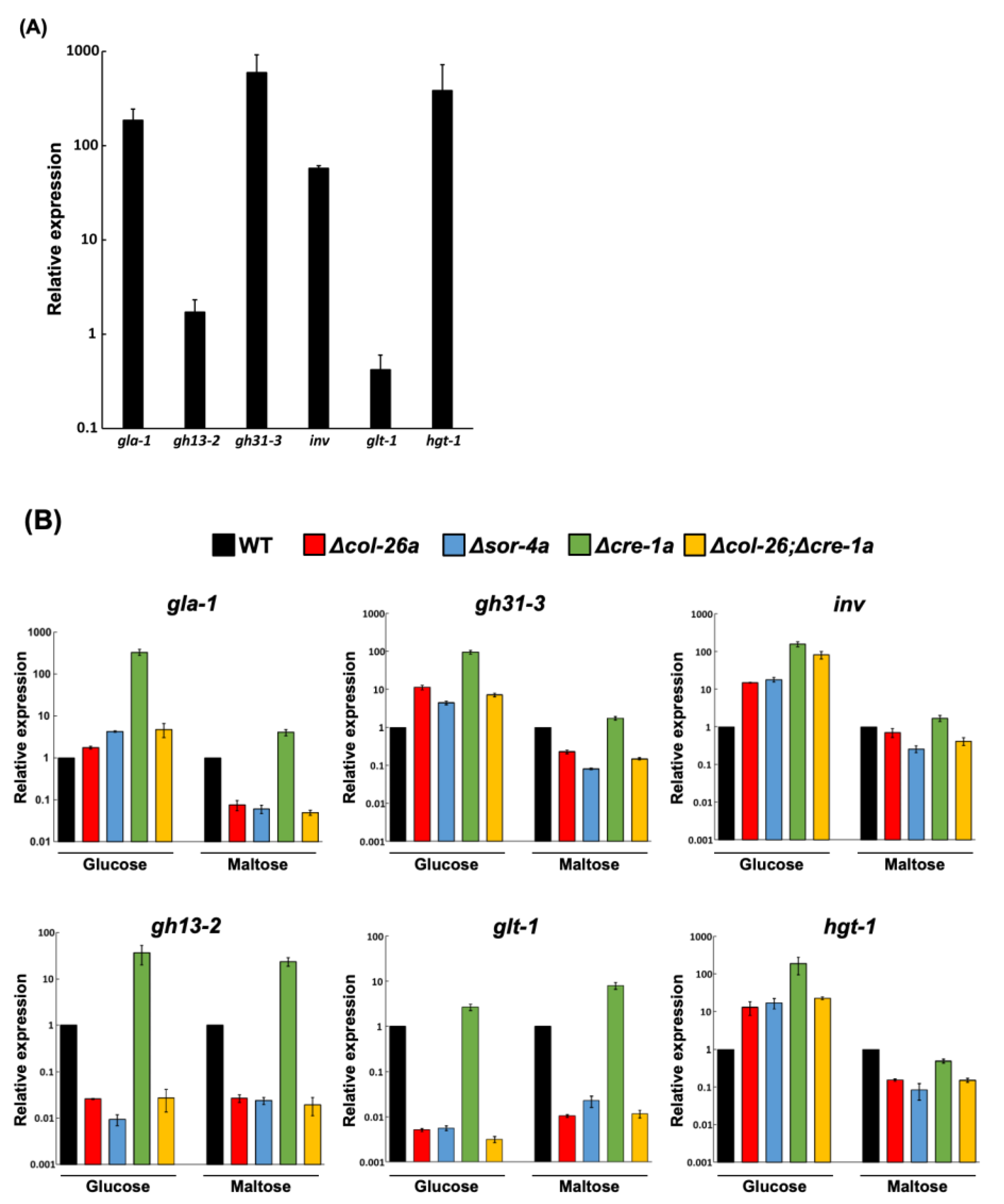 Jof 08 01169 g005 Jof 08 01169 g005