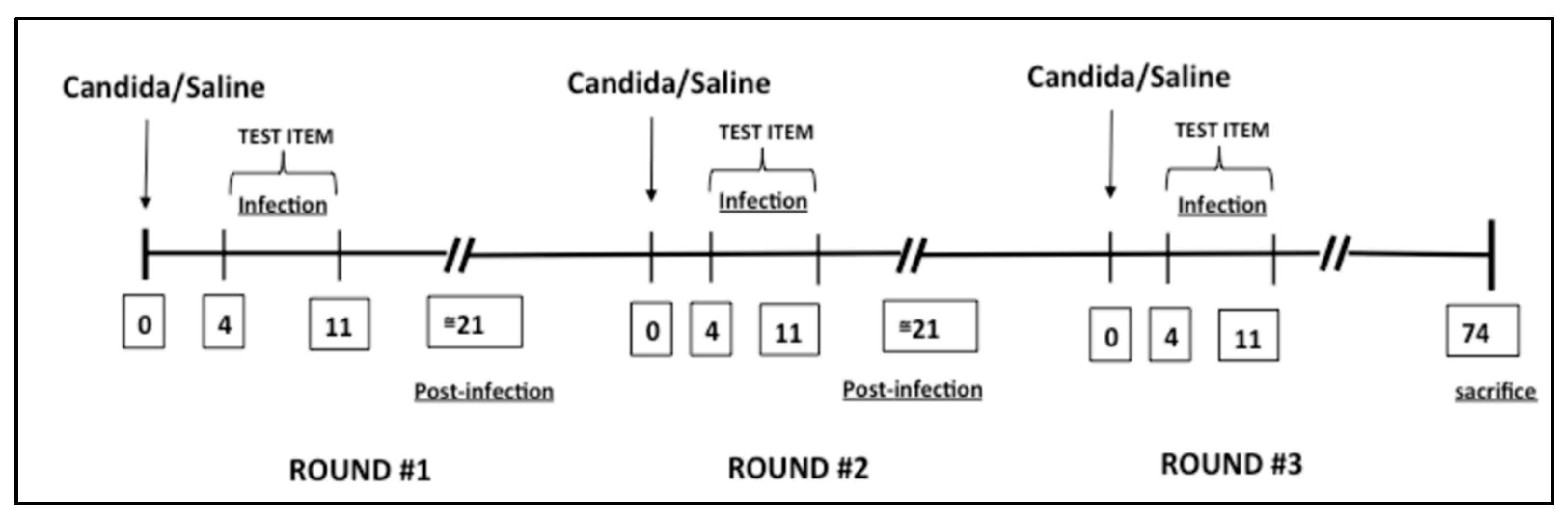 Jof 08 01251 g001 Jof 08 01251 g001