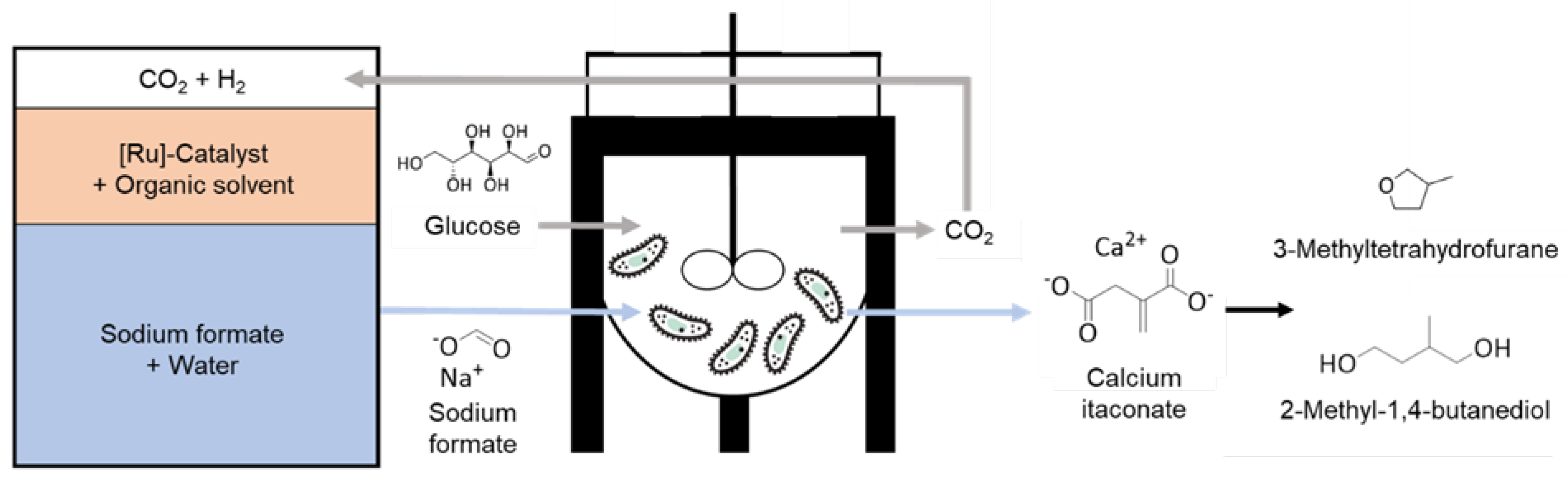 Jof 08 01277 g001 Jof 08 01277 g001