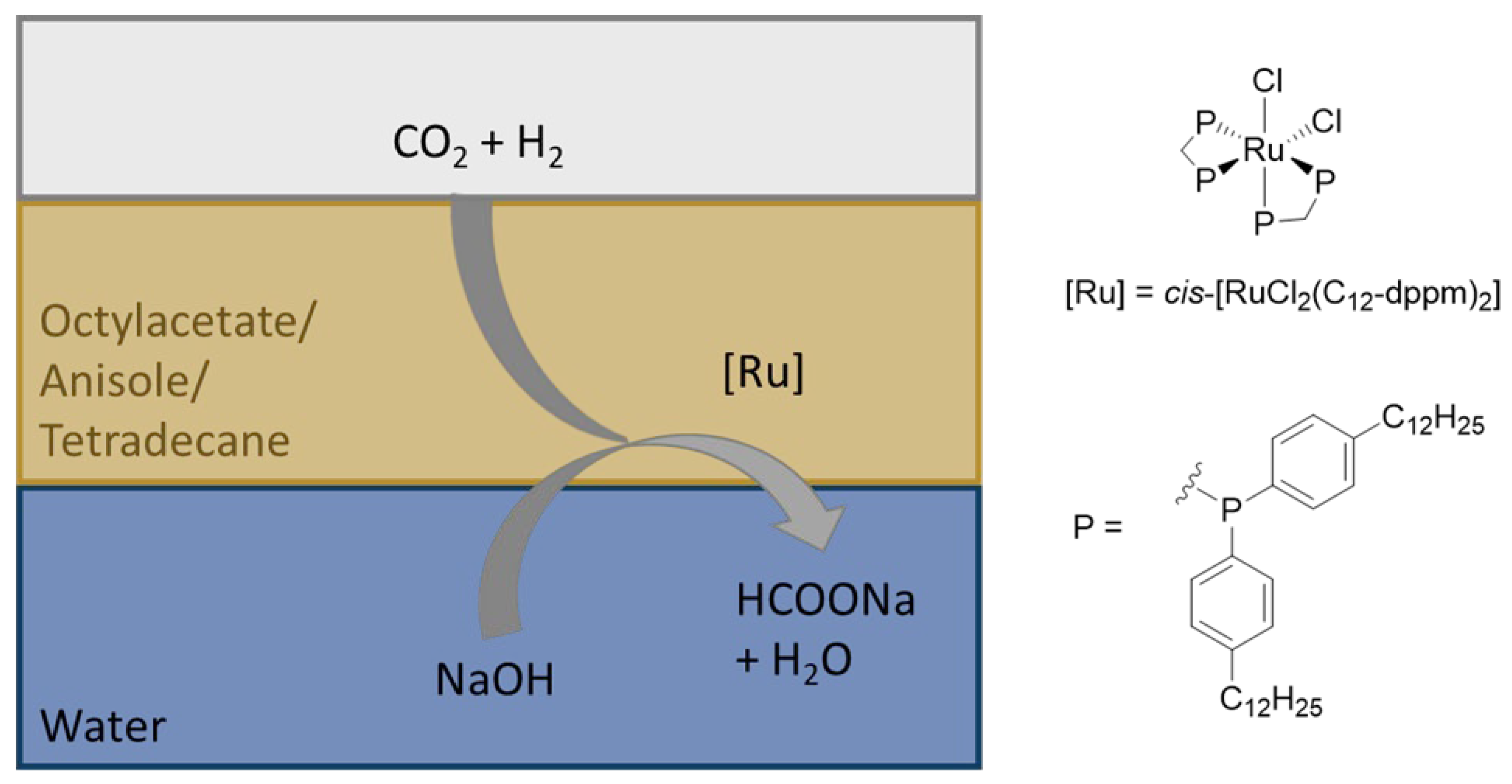 Jof 08 01277 g007 Jof 08 01277 g007