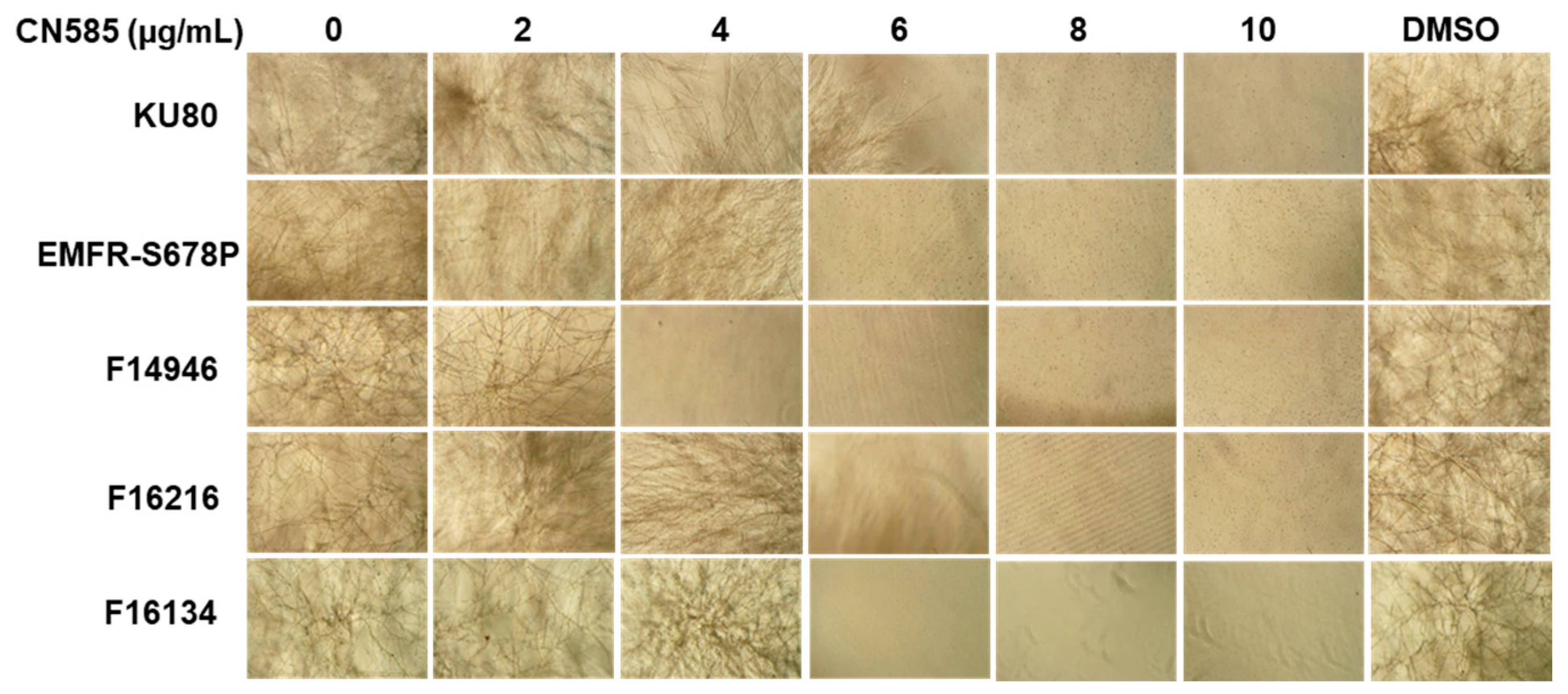 Jof 08 01281 g001 Jof 08 01281 g001