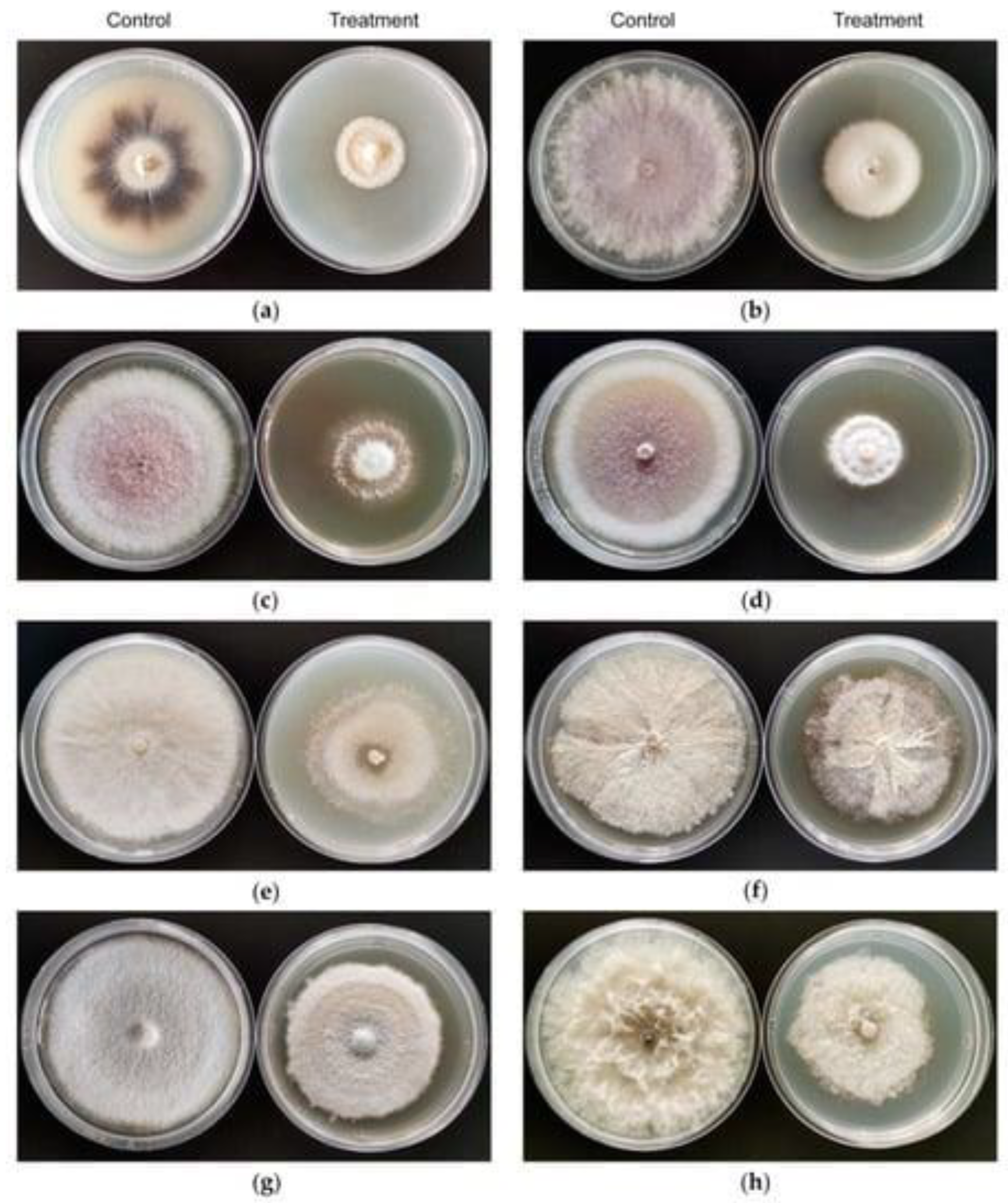 Jof 08 01288 g003 Jof 08 01288 g003