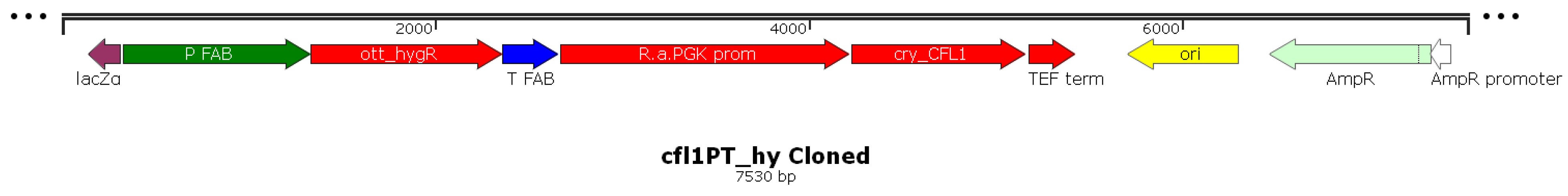 Jof 08 01293 g001 Jof 08 01293 g001