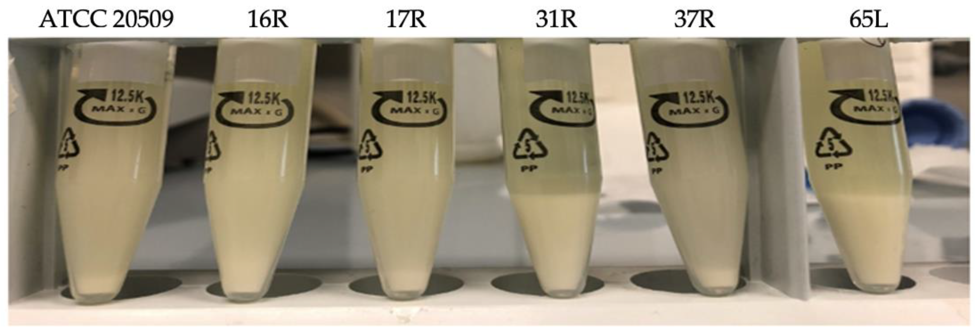 Jof 08 01293 g006 Jof 08 01293 g006