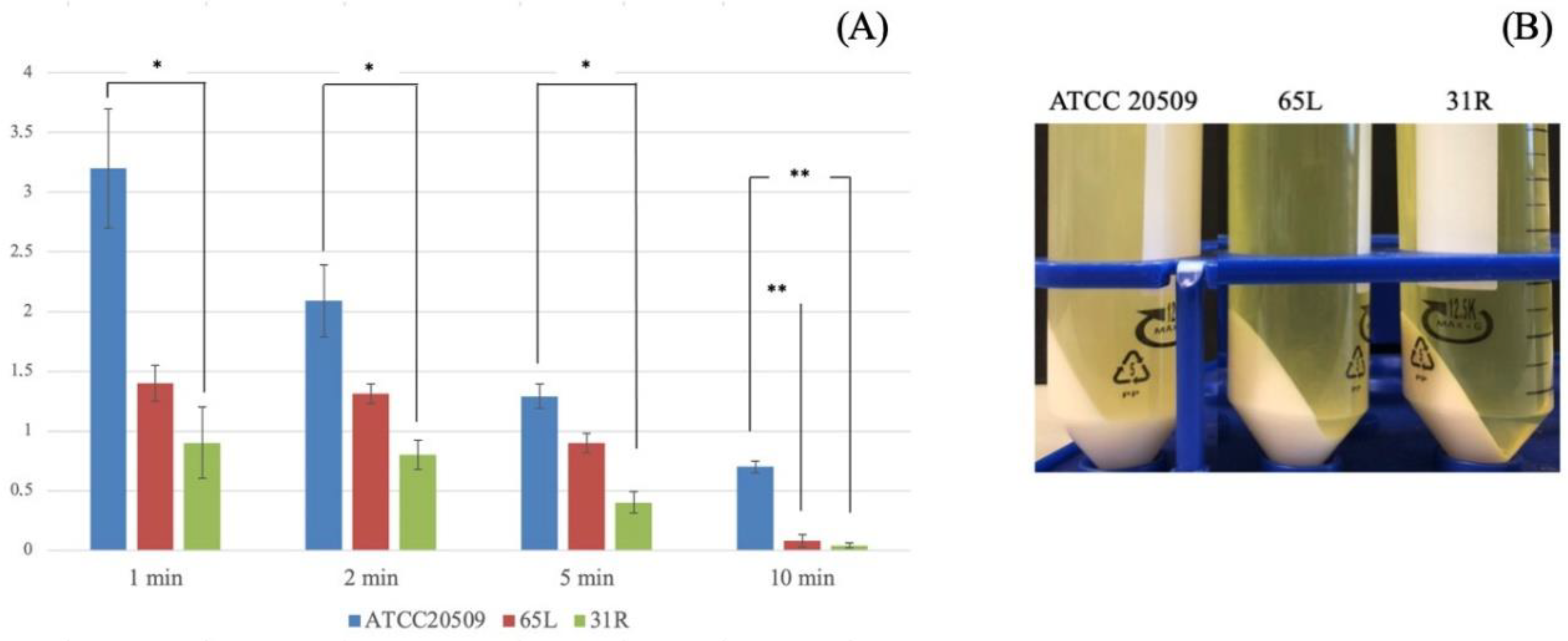 Jof 08 01293 g008 Jof 08 01293 g008