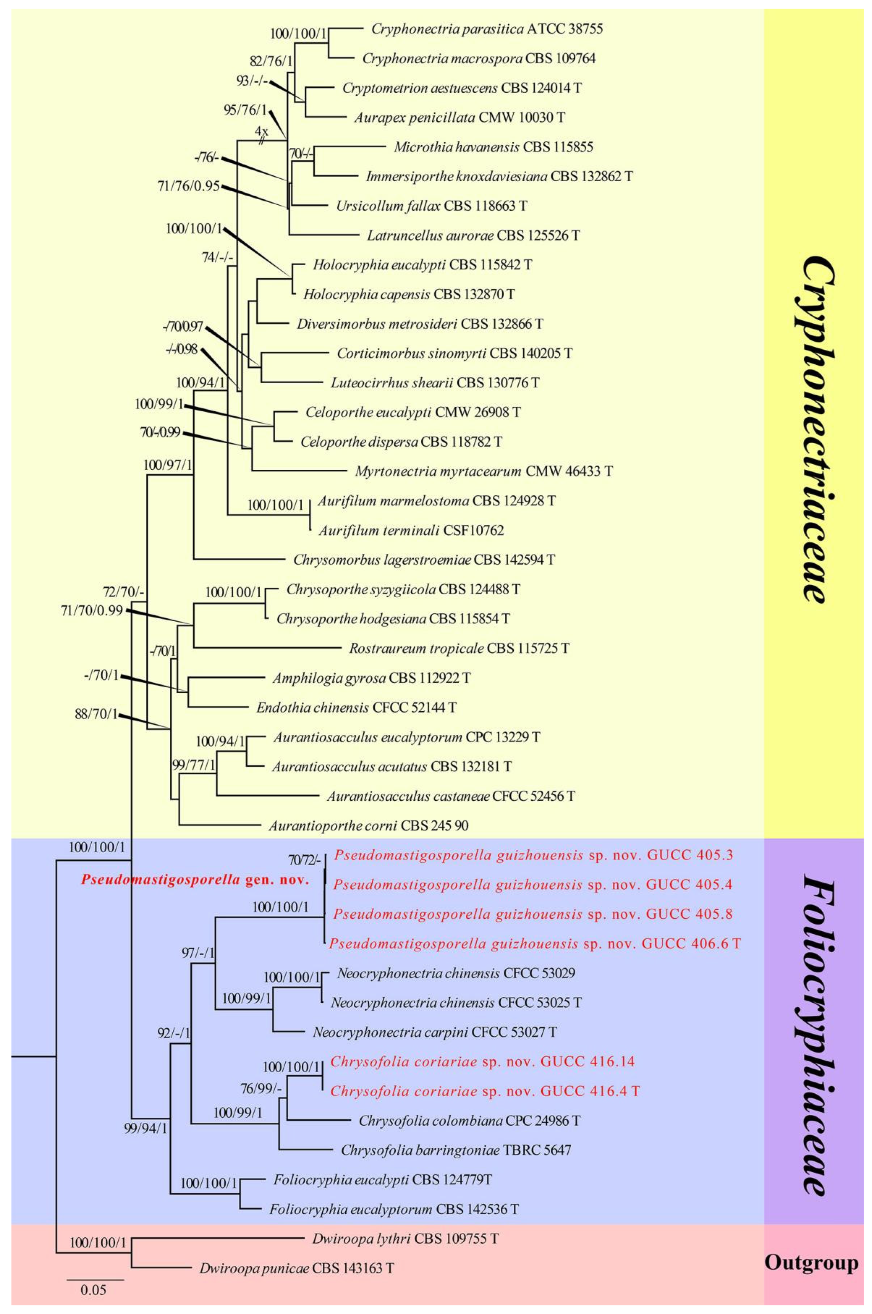 JoF | Free Full-Text | Taxonomy and Multigene Phylogeny of