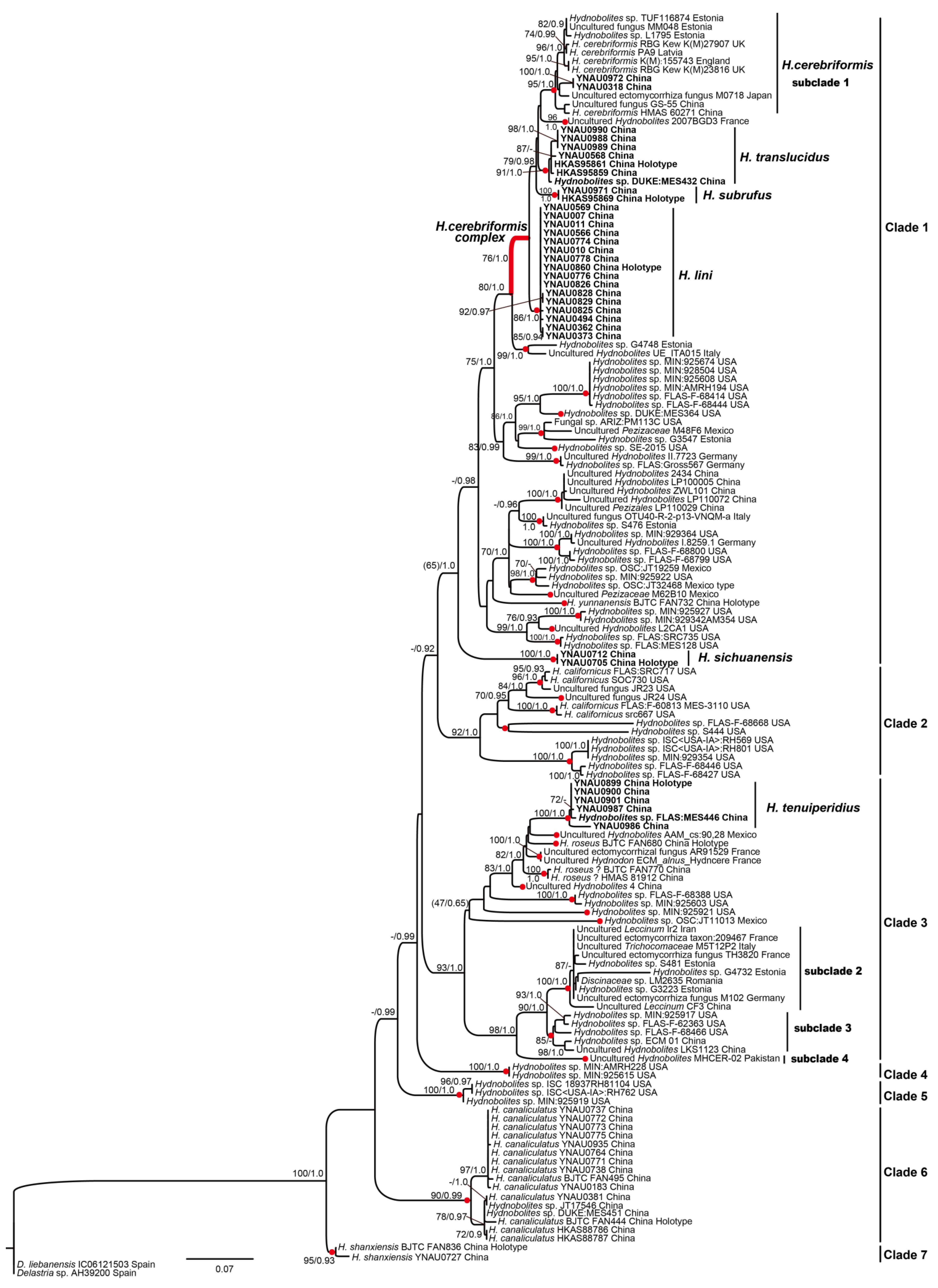 Jof 08 01302 g001 Jof 08 01302 g001
