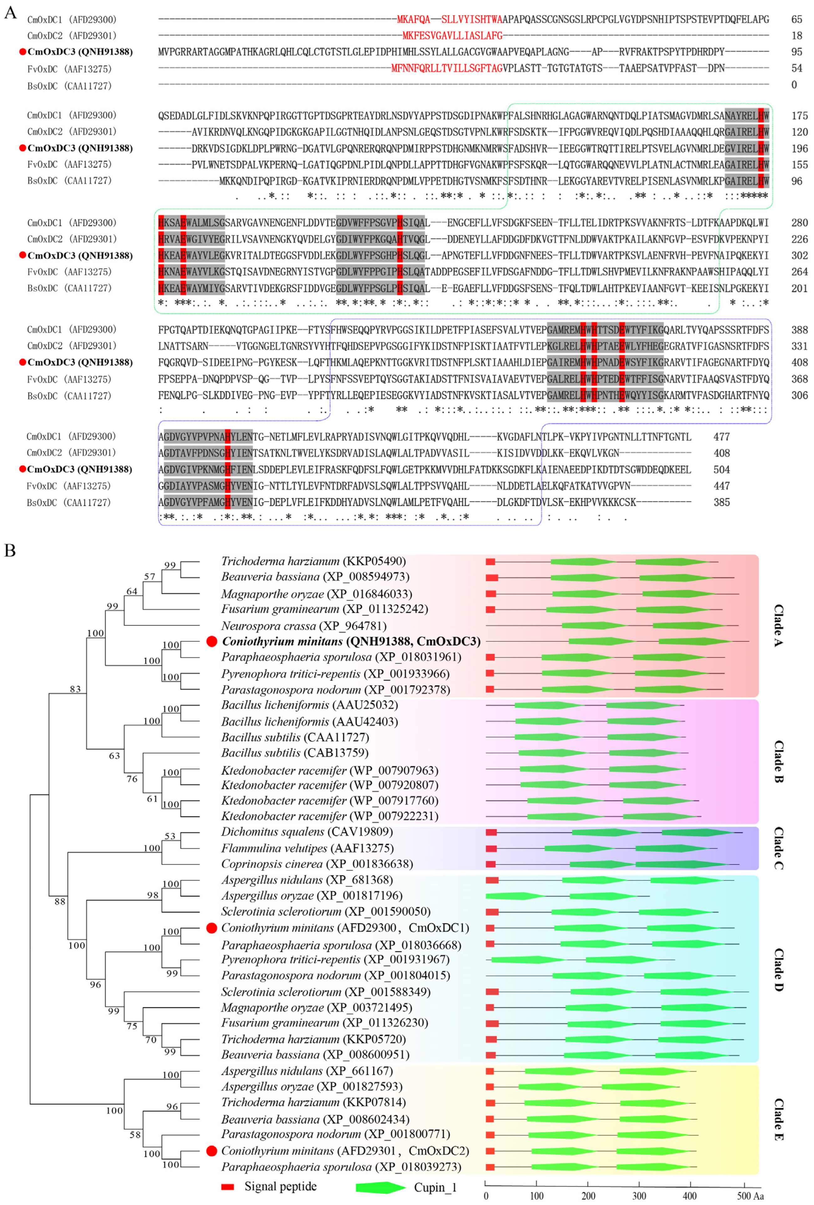 Jof 08 01304 g001 Jof 08 01304 g001