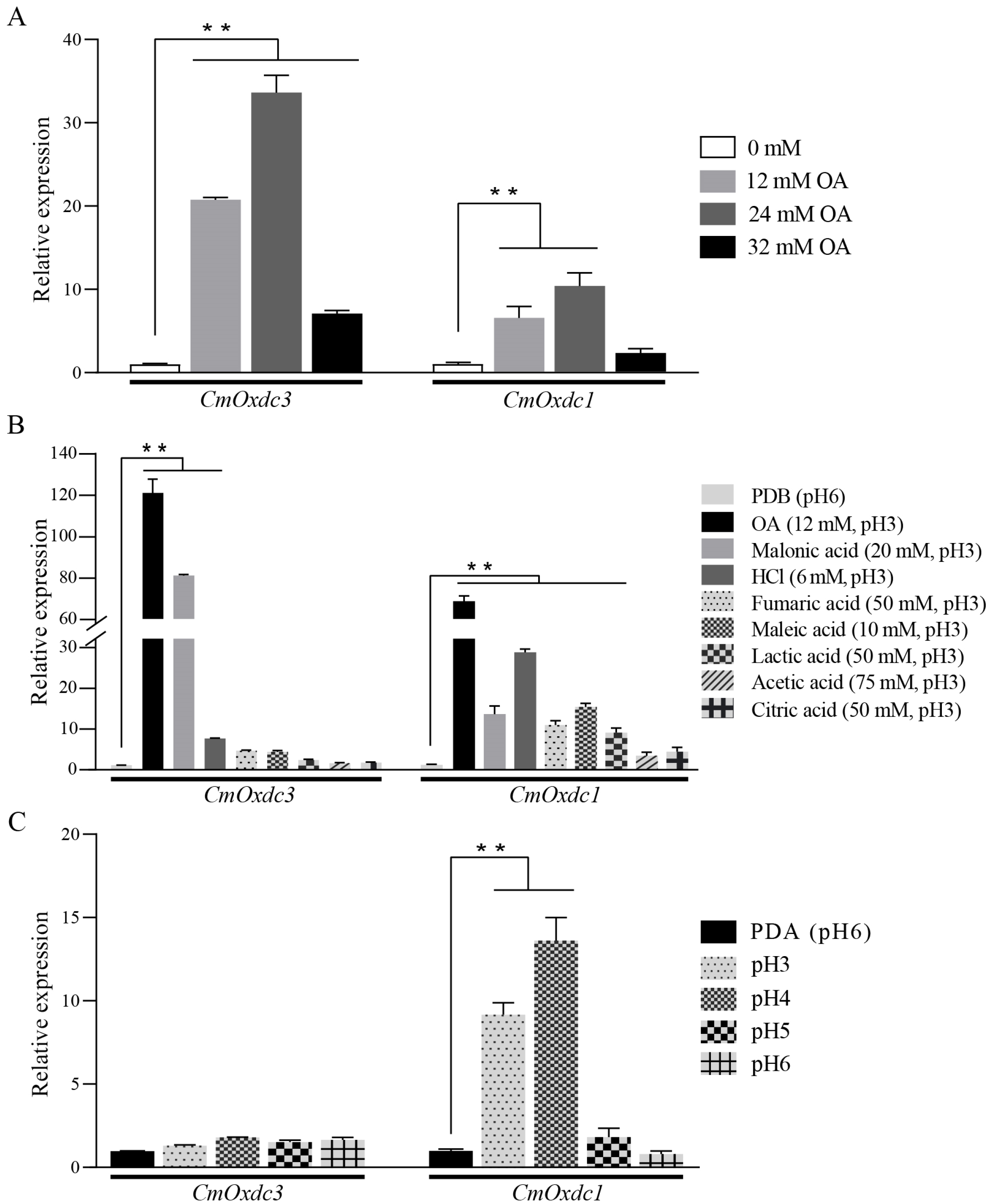 Jof 08 01304 g002 Jof 08 01304 g002
