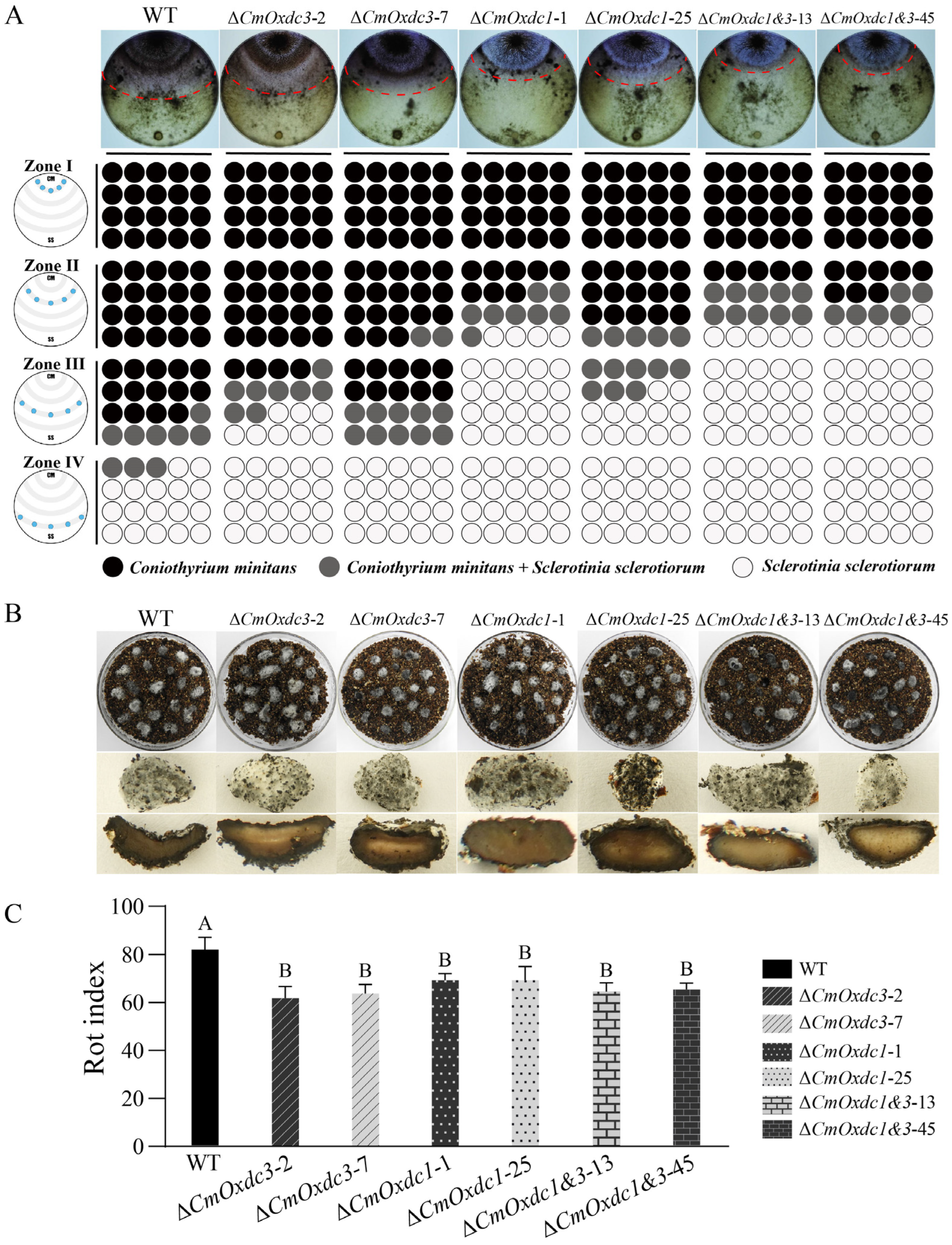 Jof 08 01304 g006 Jof 08 01304 g006