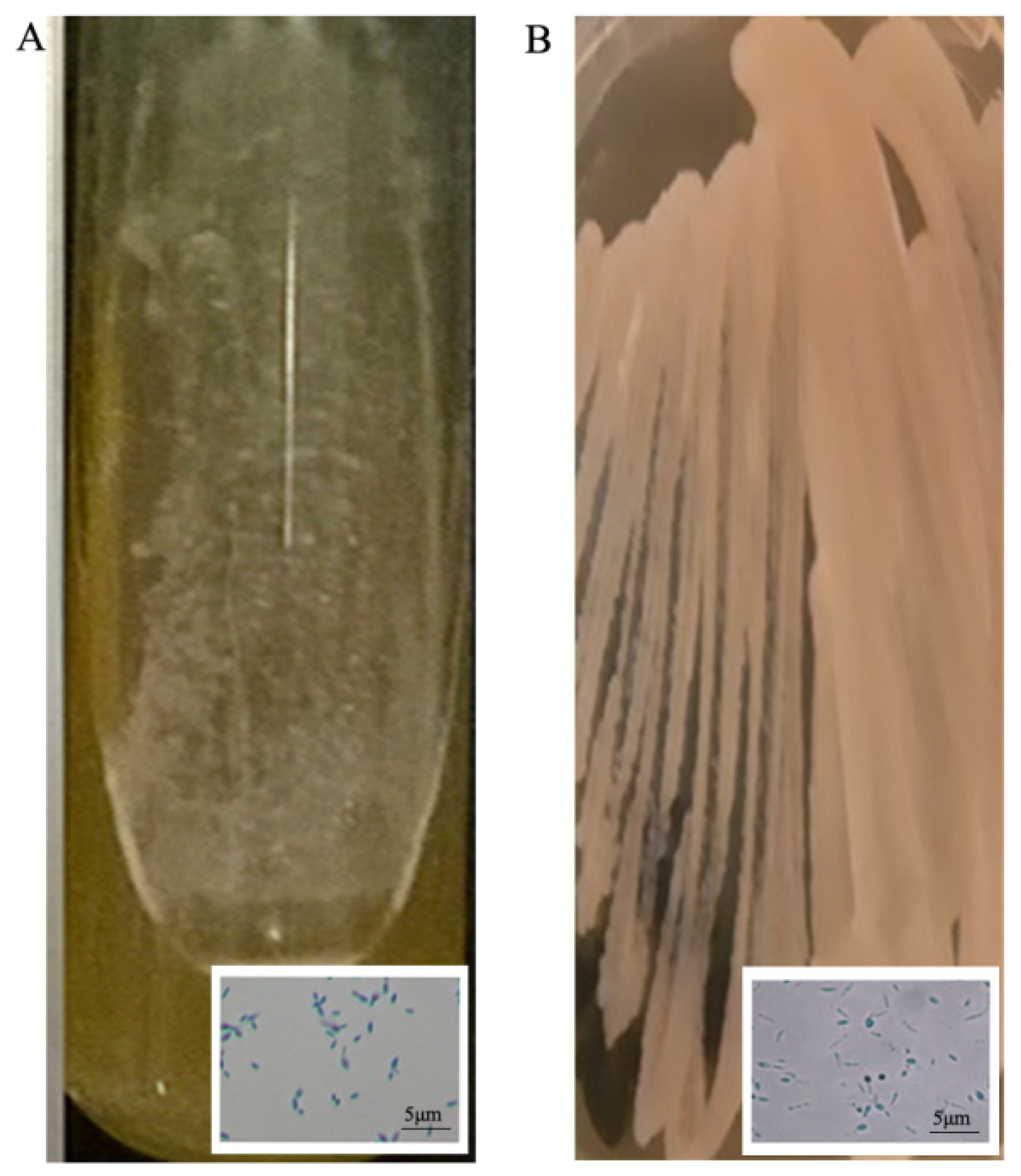 Jof 09 00034 g001 Jof 09 00034 g001