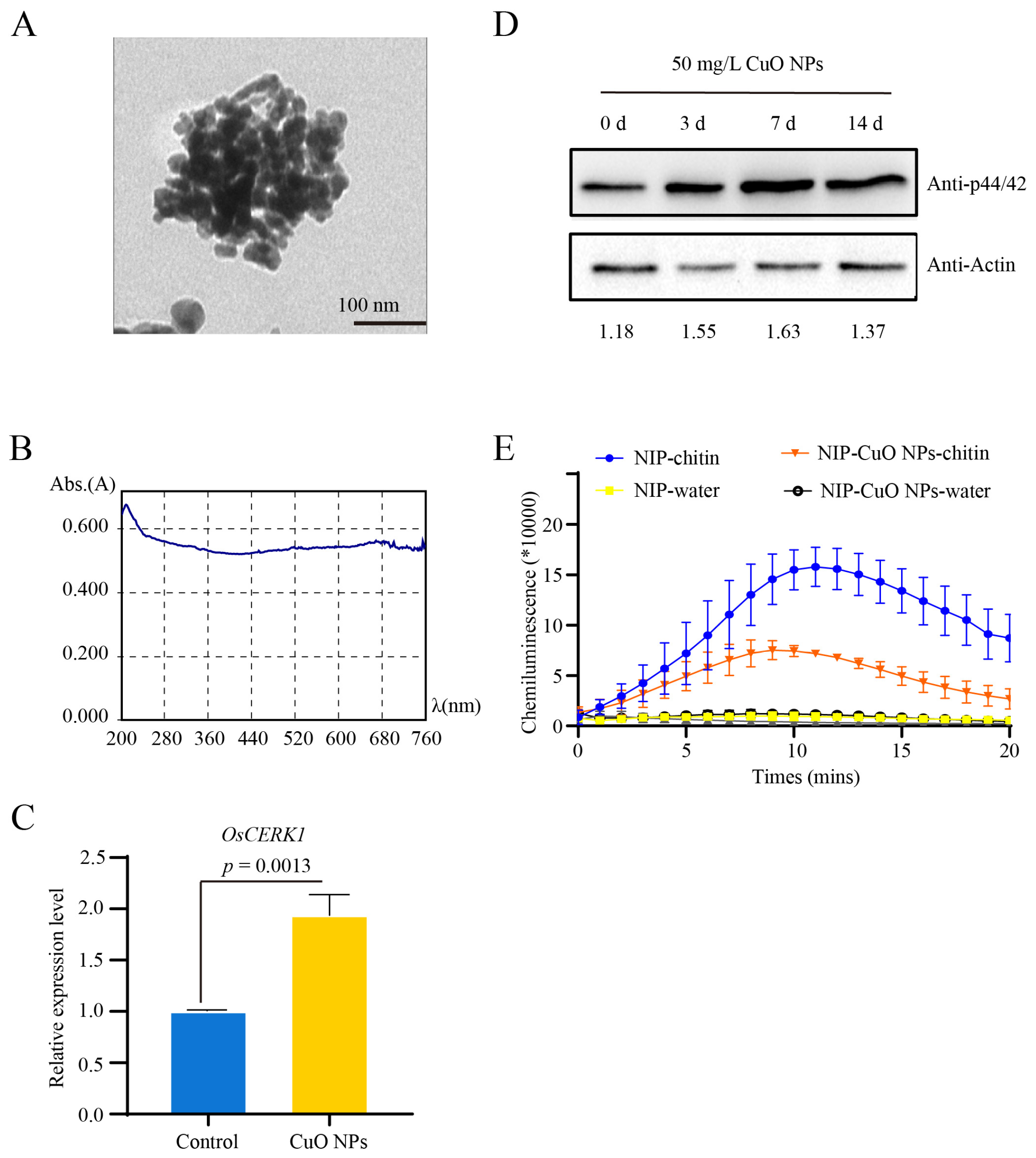 Jof 09 00036 g001 Jof 09 00036 g001