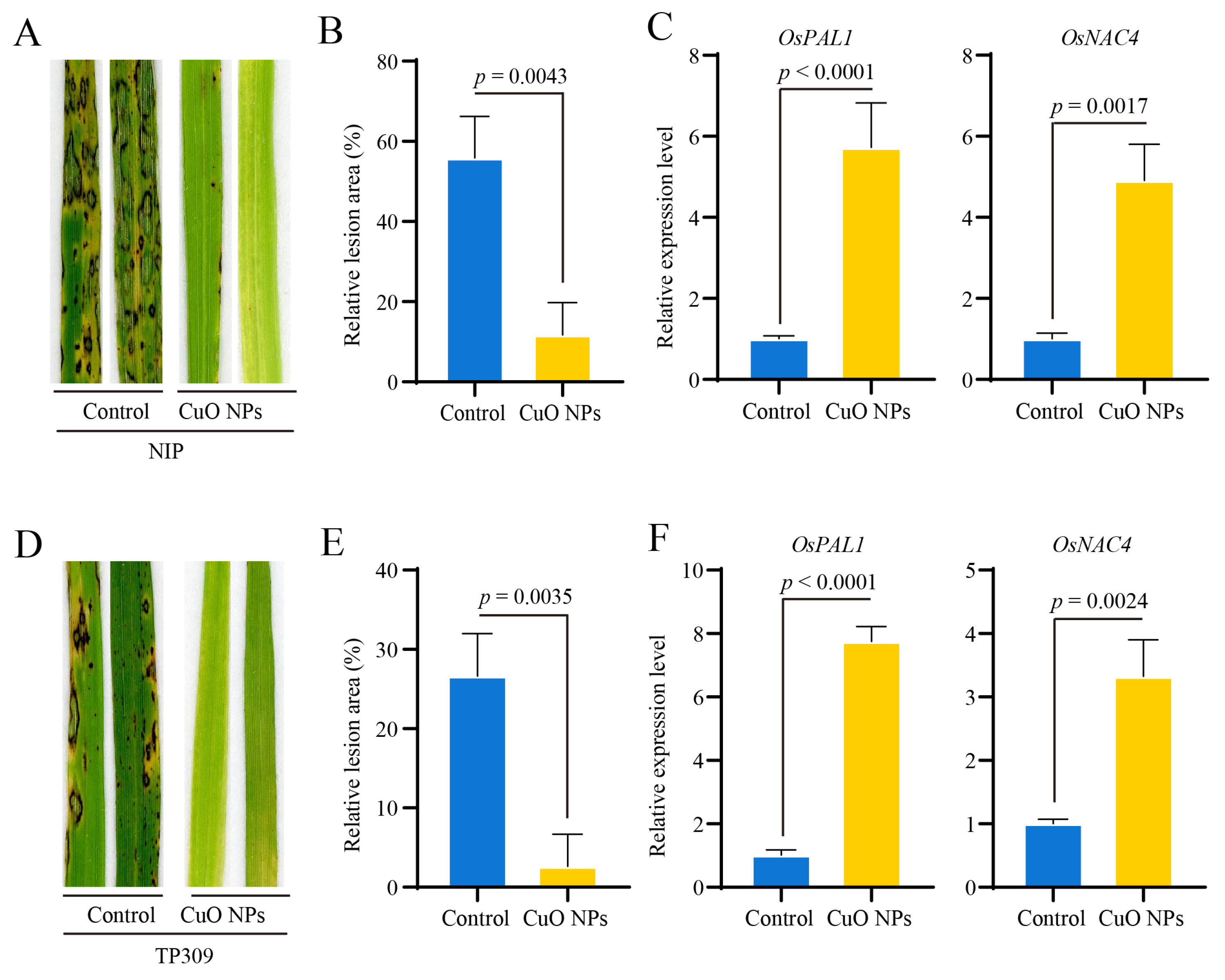Jof 09 00036 g004 Jof 09 00036 g004