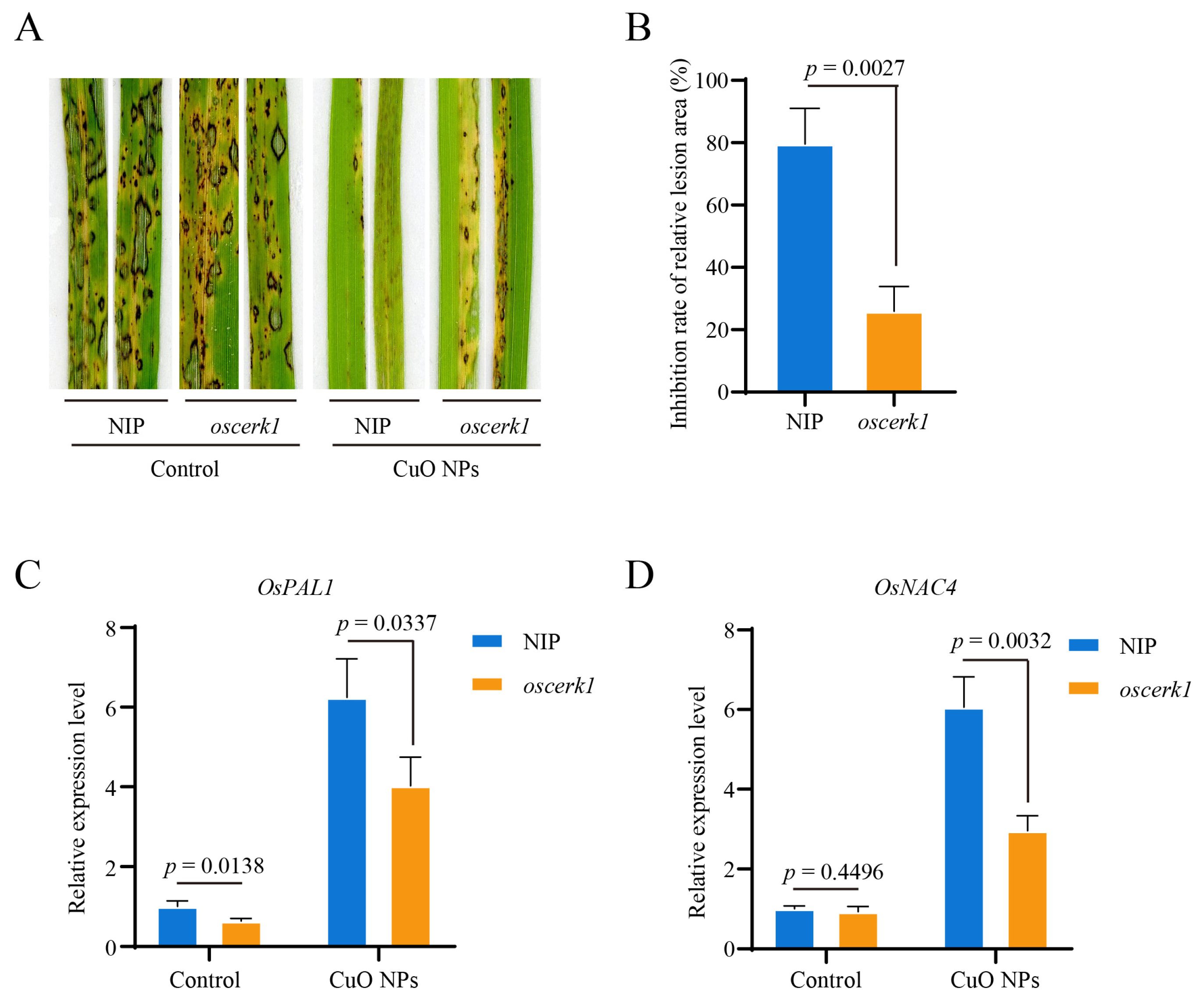 Jof 09 00036 g005 Jof 09 00036 g005