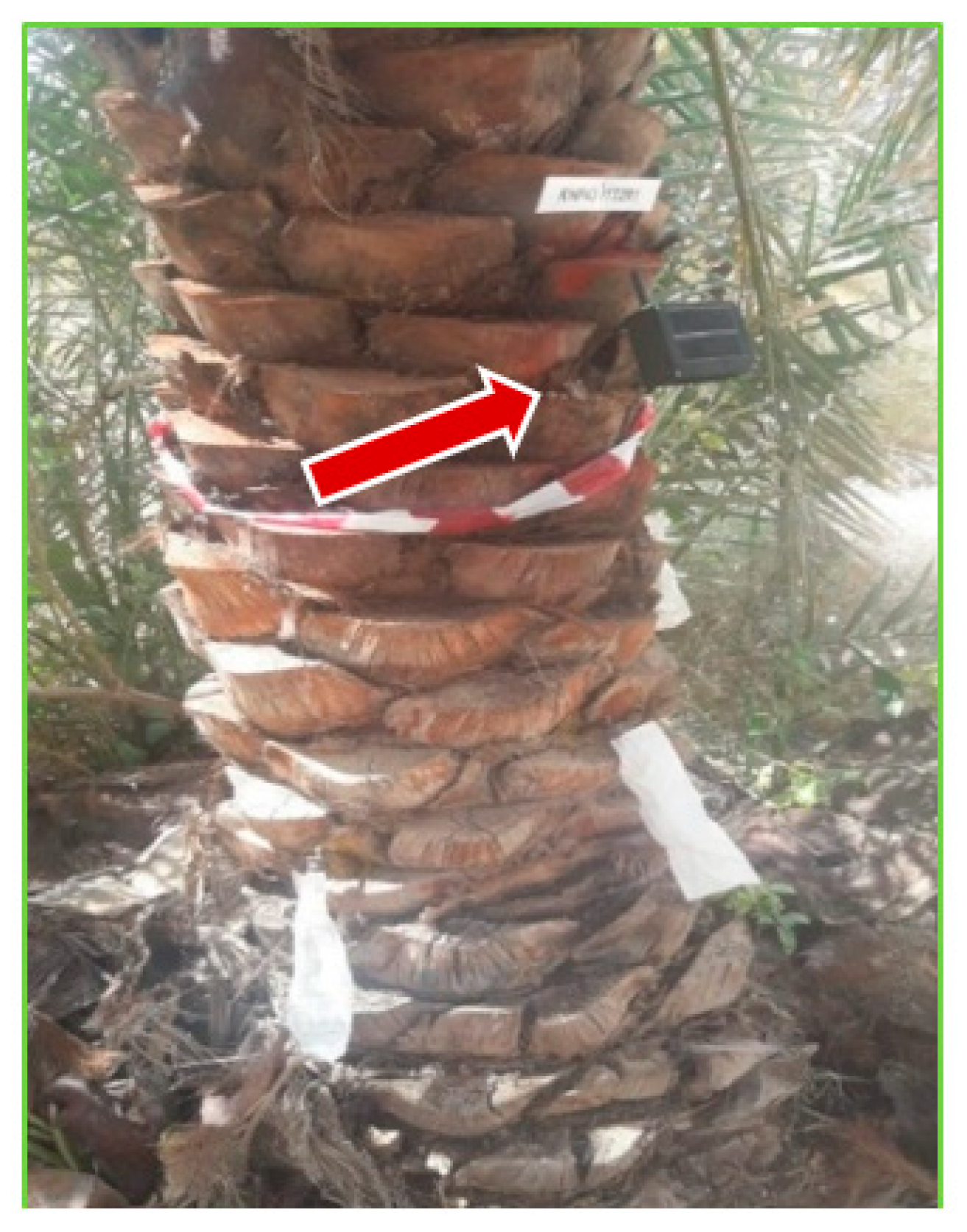 Jof 09 00068 g003 Jof 09 00068 g003