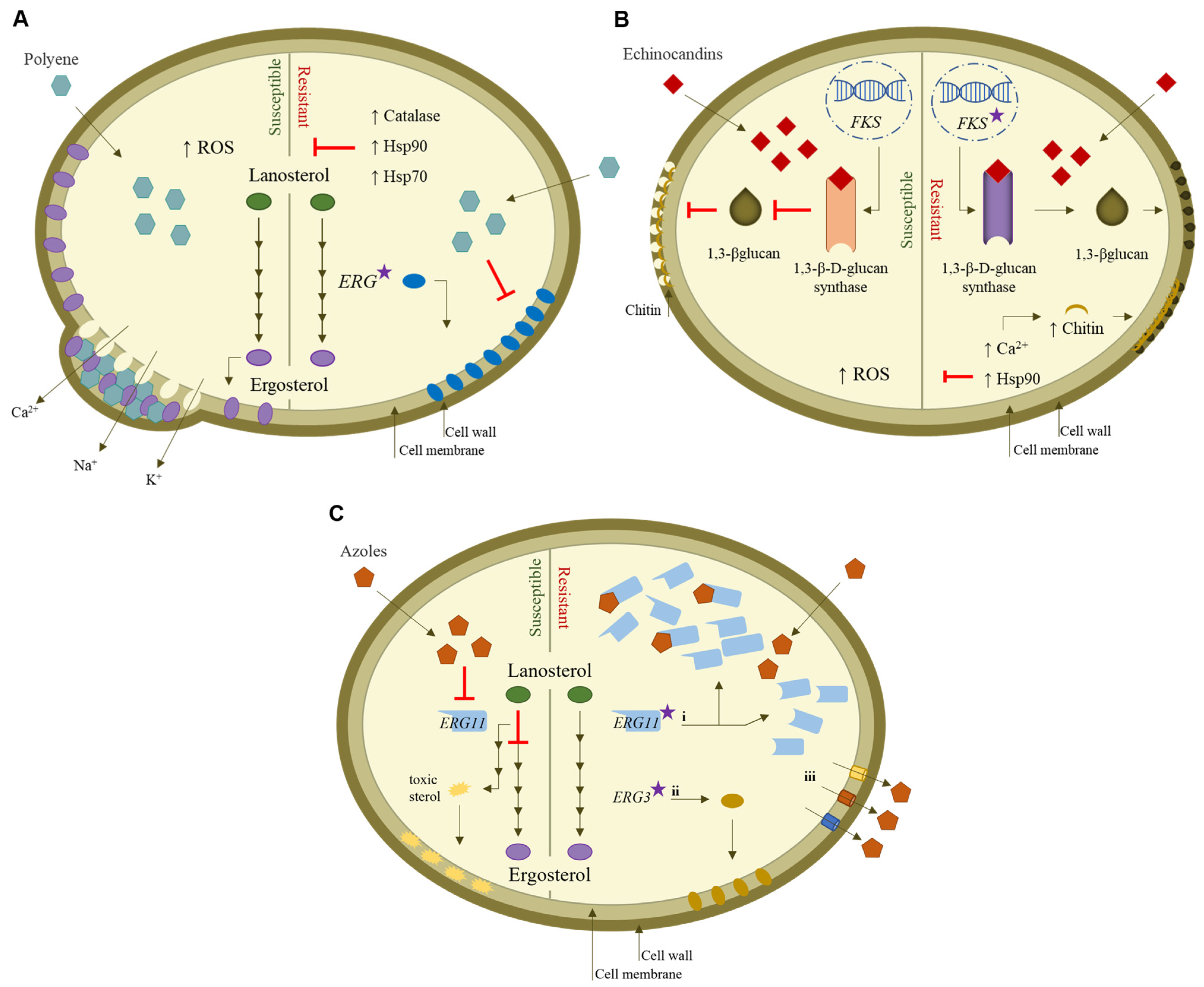 Jof 09 00080 g002 Jof 09 00080 g002