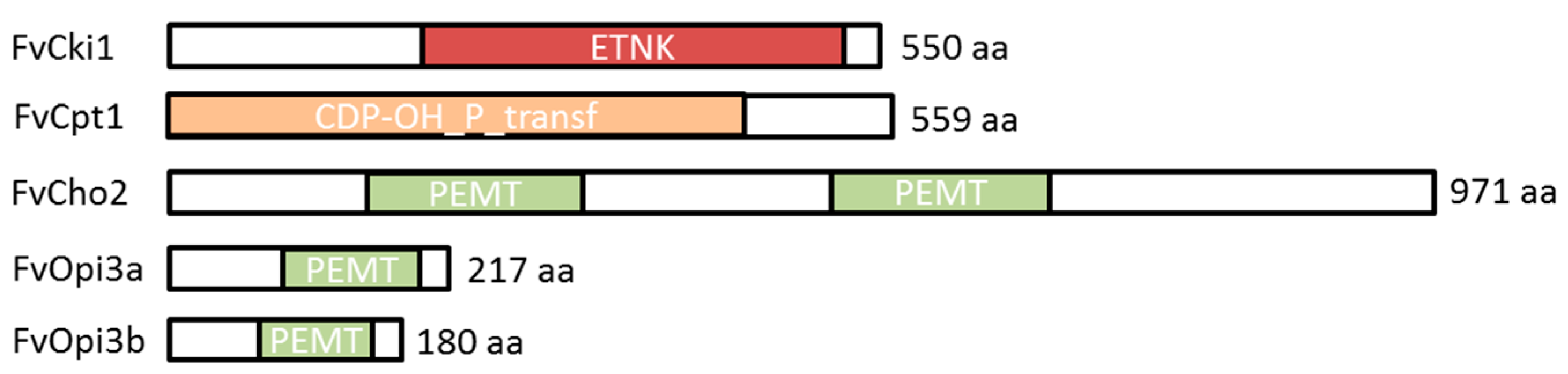 Jof 09 00102 g005 Jof 09 00102 g005