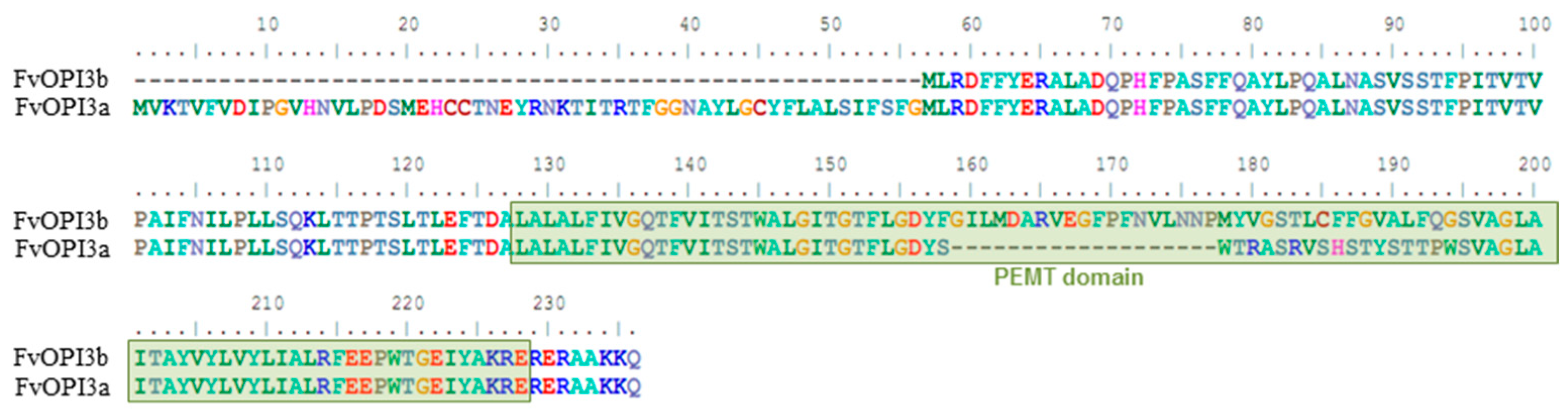 Jof 09 00102 g006 Jof 09 00102 g006