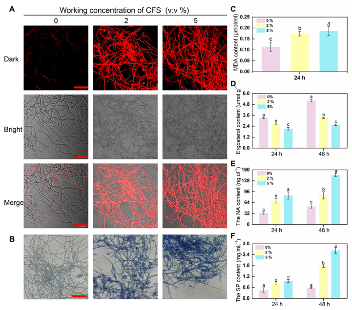 Jof 09 00127 g003 Jof 09 00127 g003