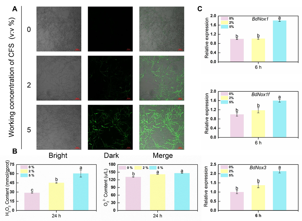 Jof 09 00127 g004 Jof 09 00127 g004
