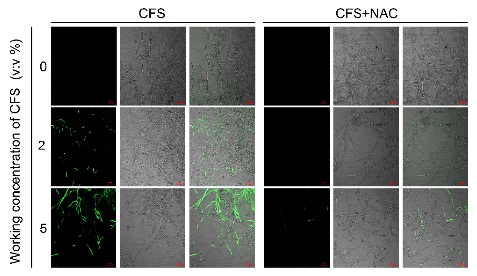 Jof 09 00127 g006 Jof 09 00127 g006