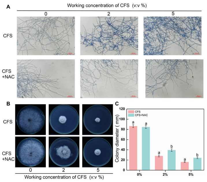 Jof 09 00127 g007 Jof 09 00127 g007