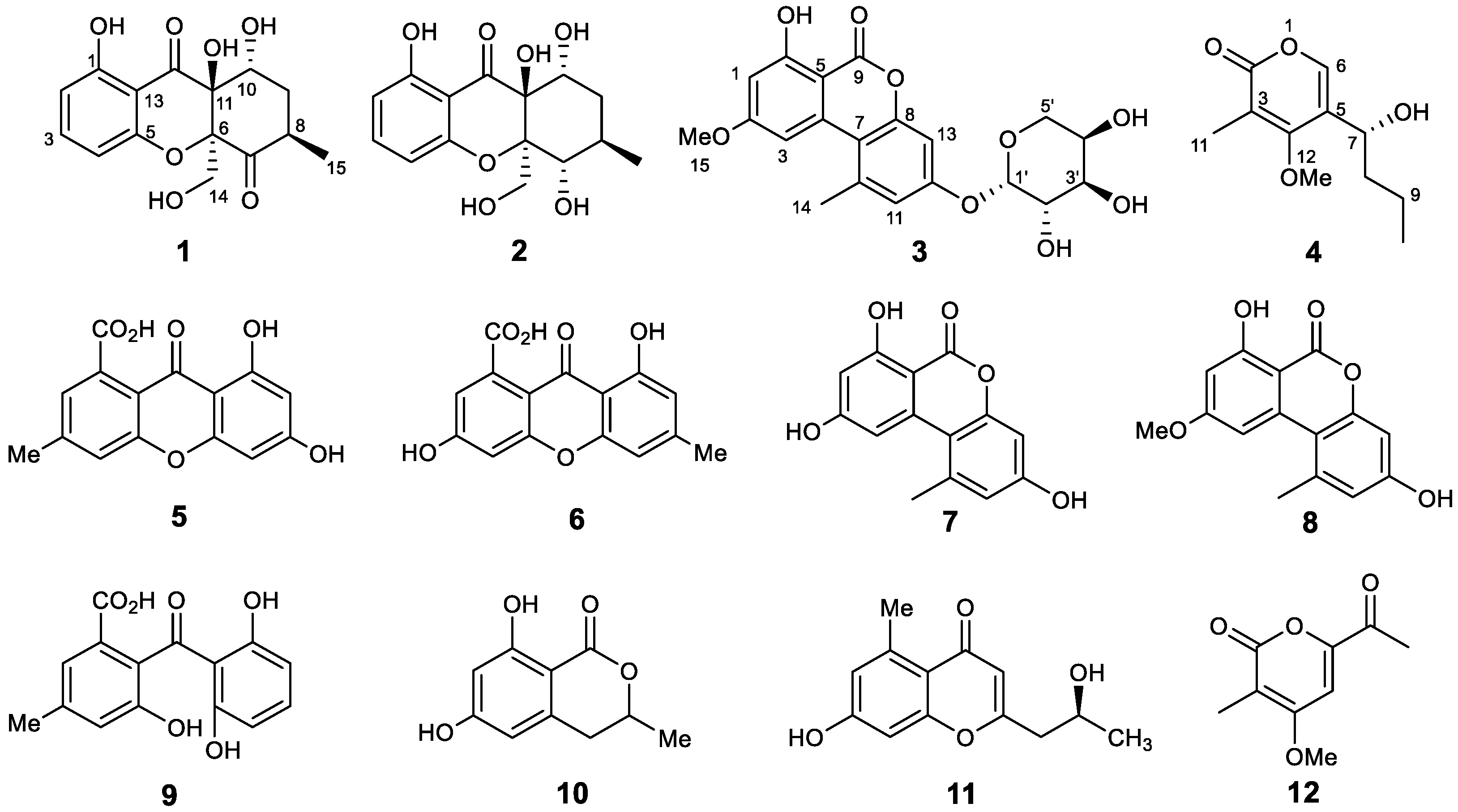 Jof 09 00136 g001 Jof 09 00136 g001