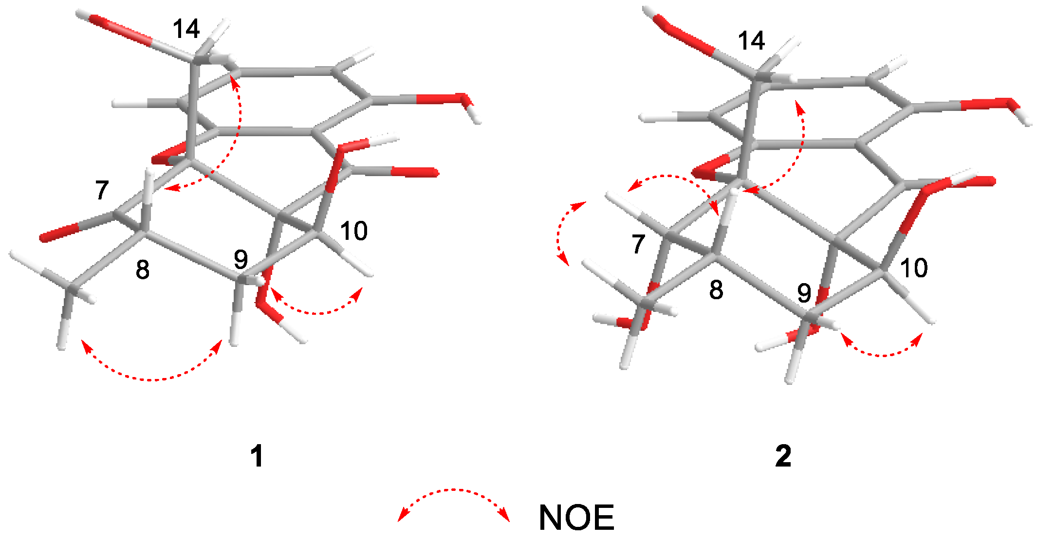 Jof 09 00136 g003 Jof 09 00136 g003