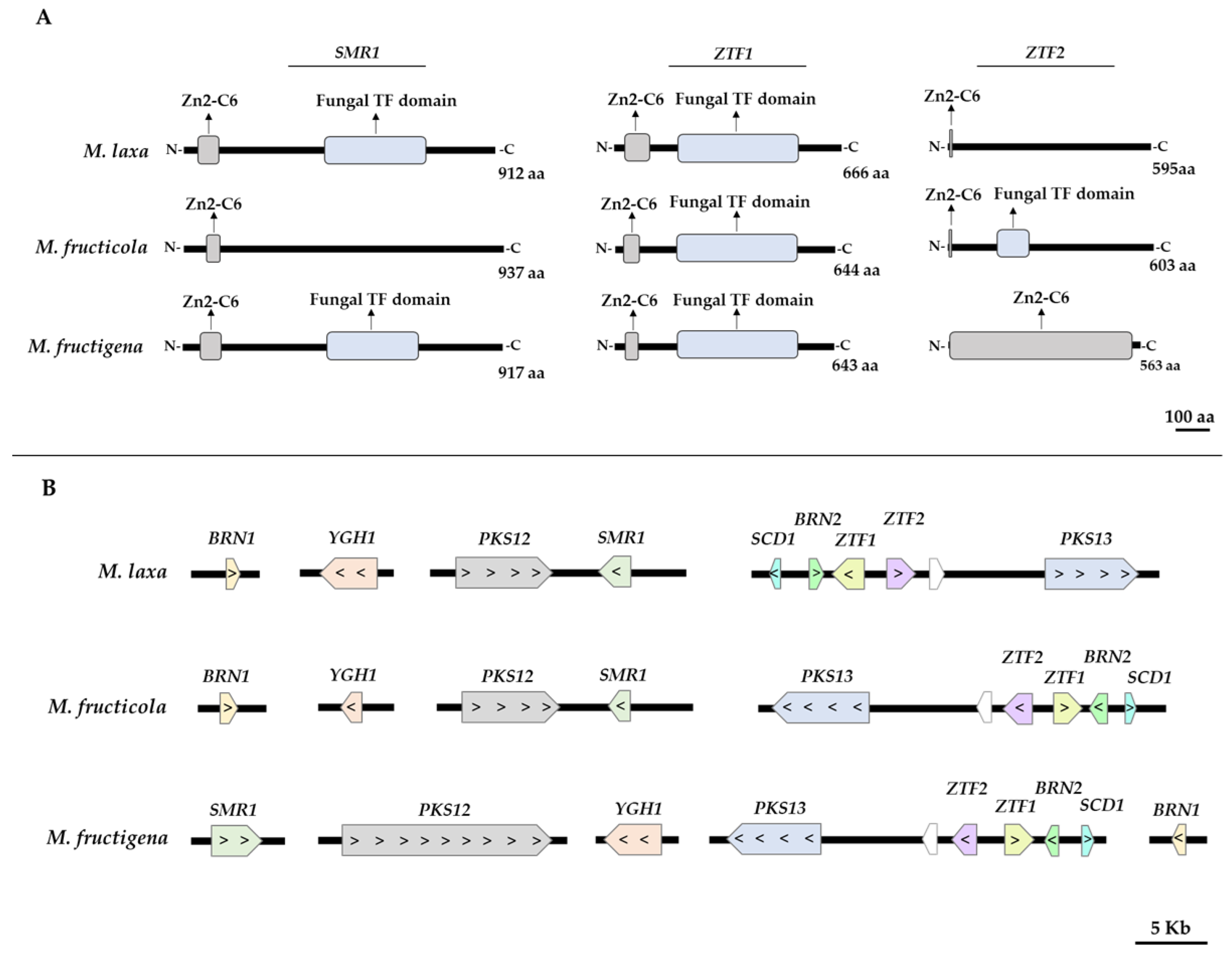 Jof 09 00138 g001 Jof 09 00138 g001