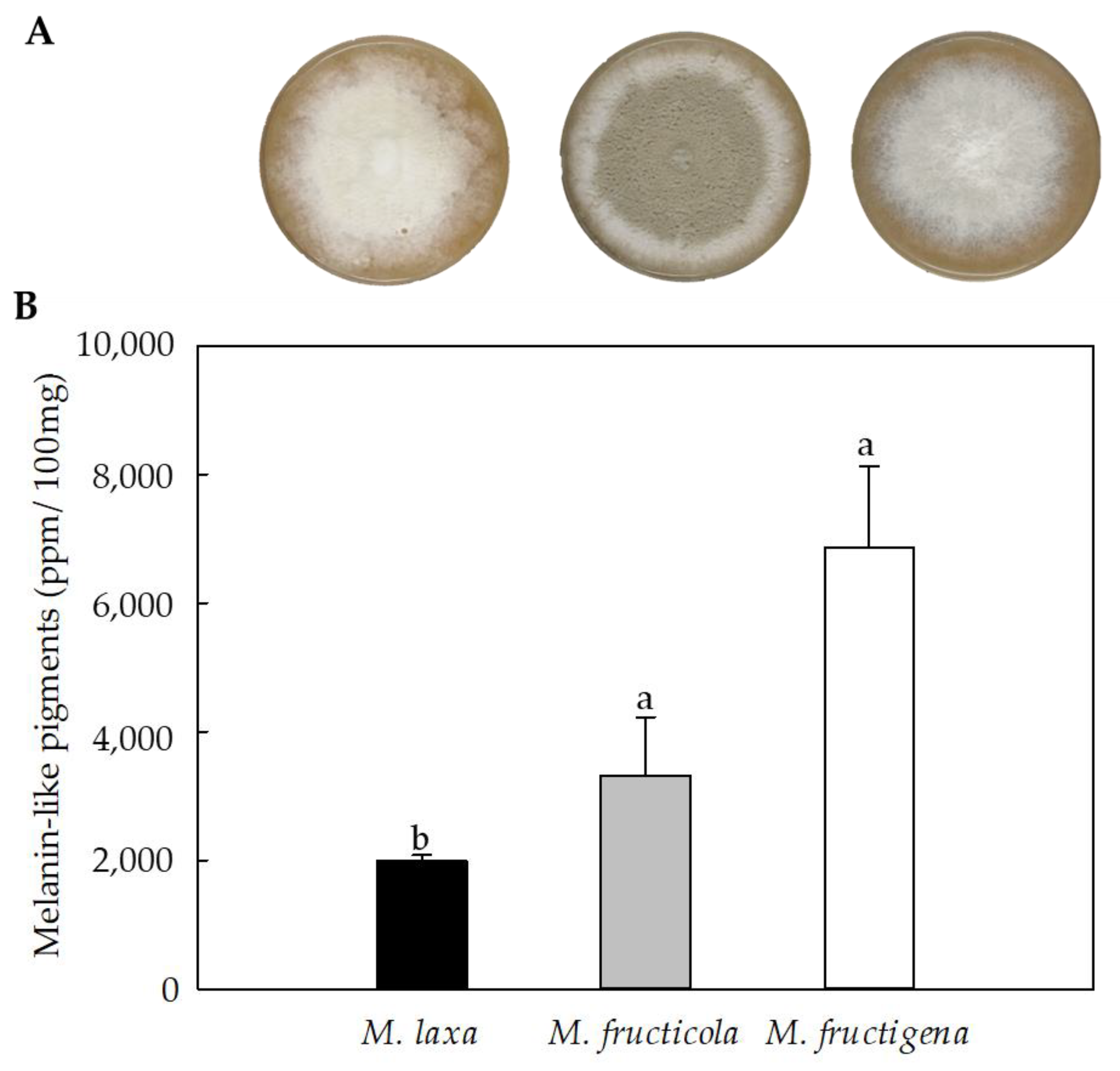 Jof 09 00138 g002 Jof 09 00138 g002