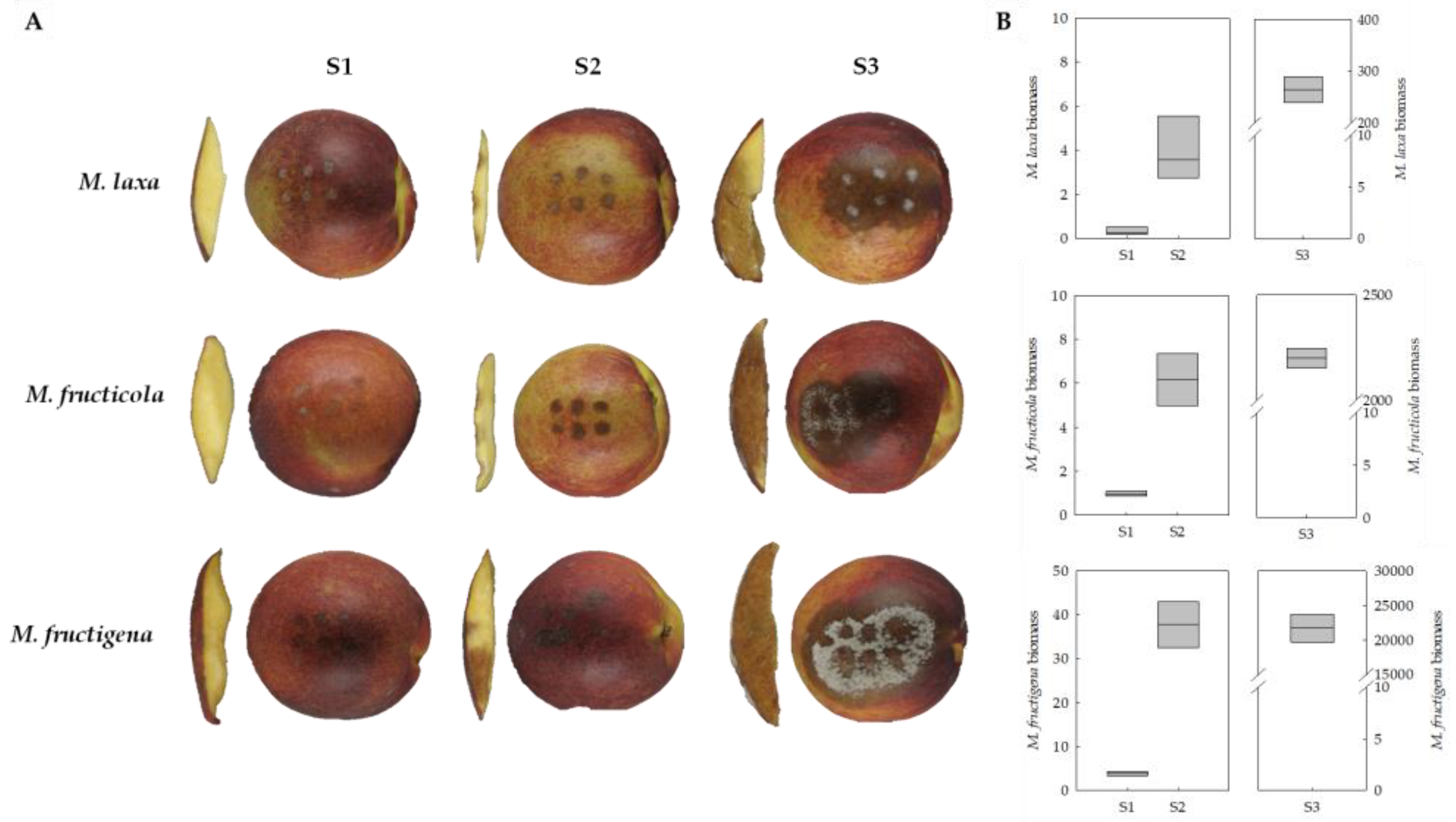 Jof 09 00138 g003 Jof 09 00138 g003