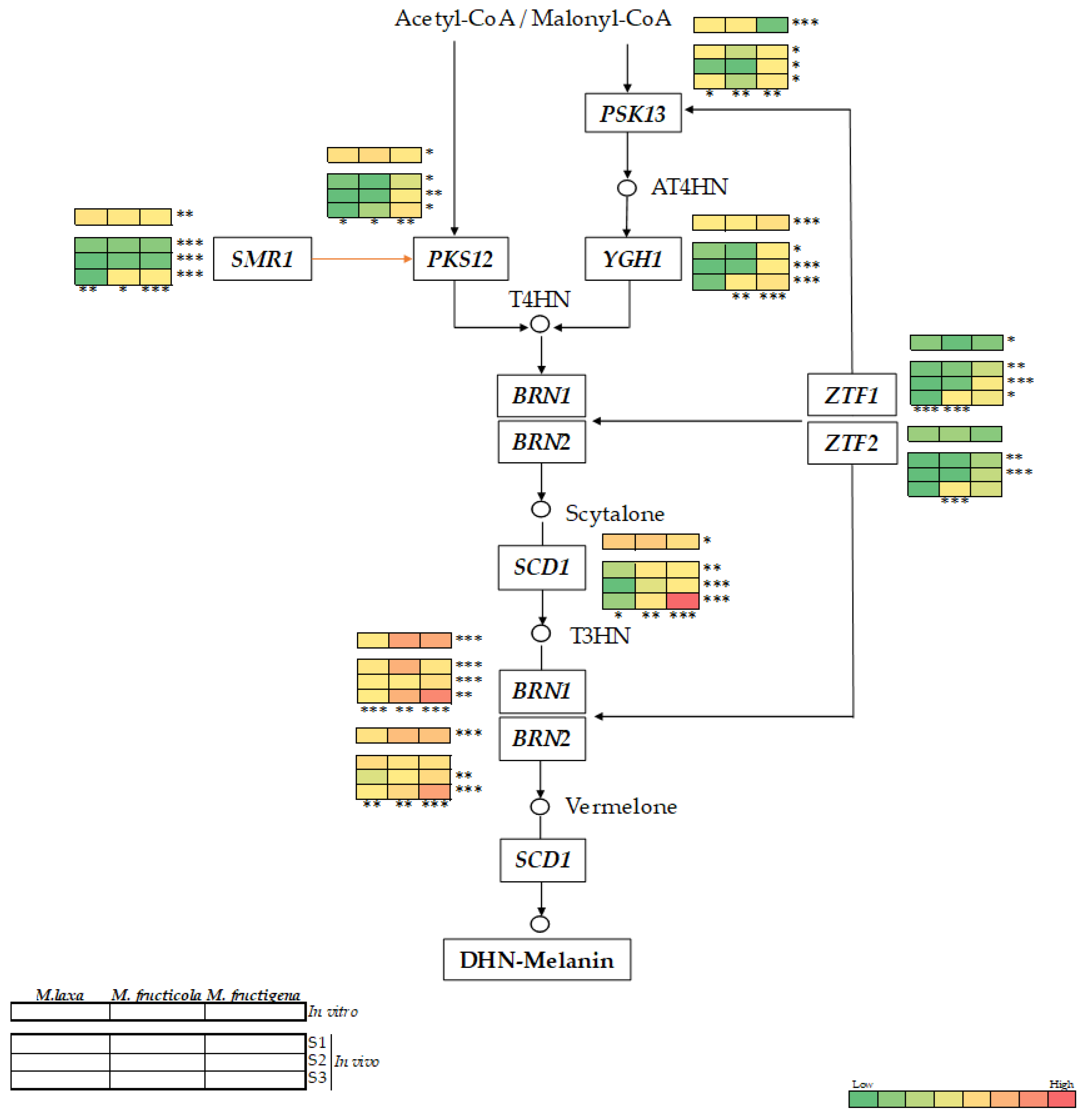 Jof 09 00138 g005 Jof 09 00138 g005