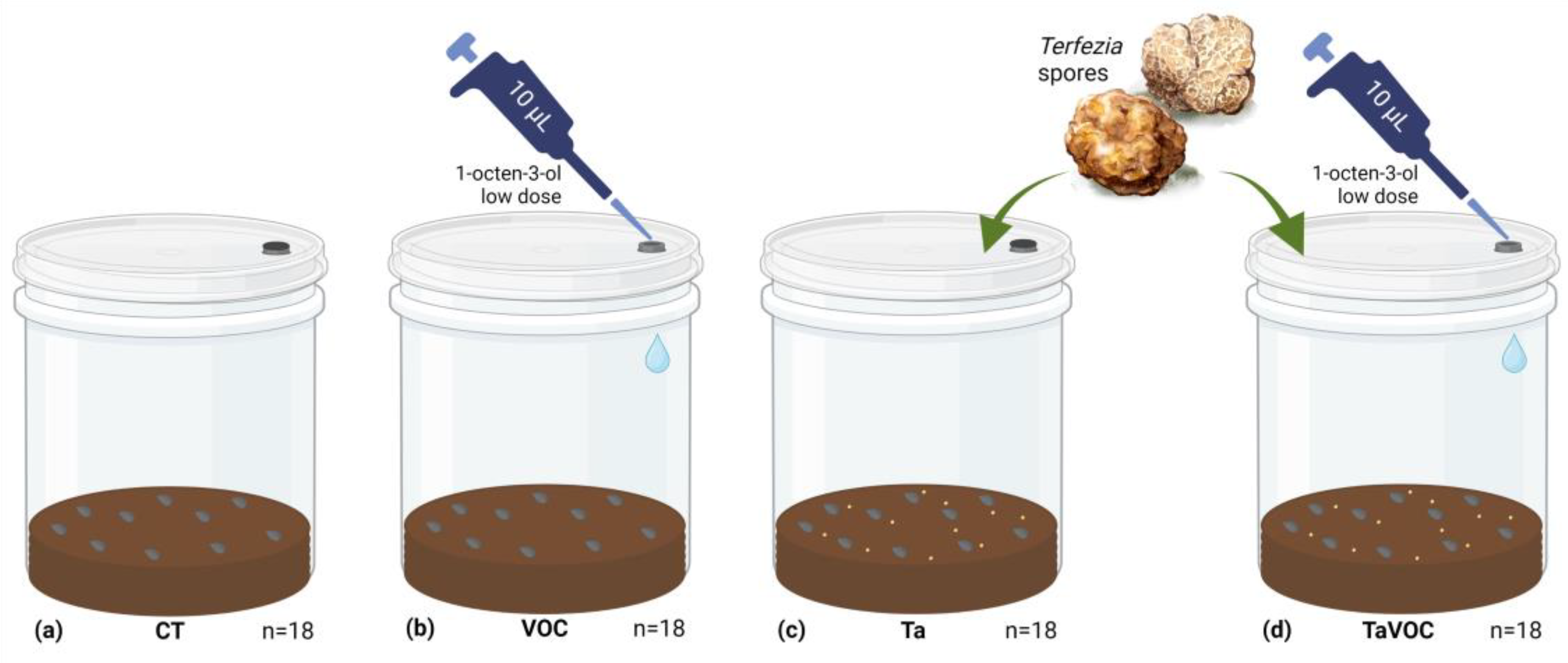 Jof 09 00180 g002 Jof 09 00180 g002