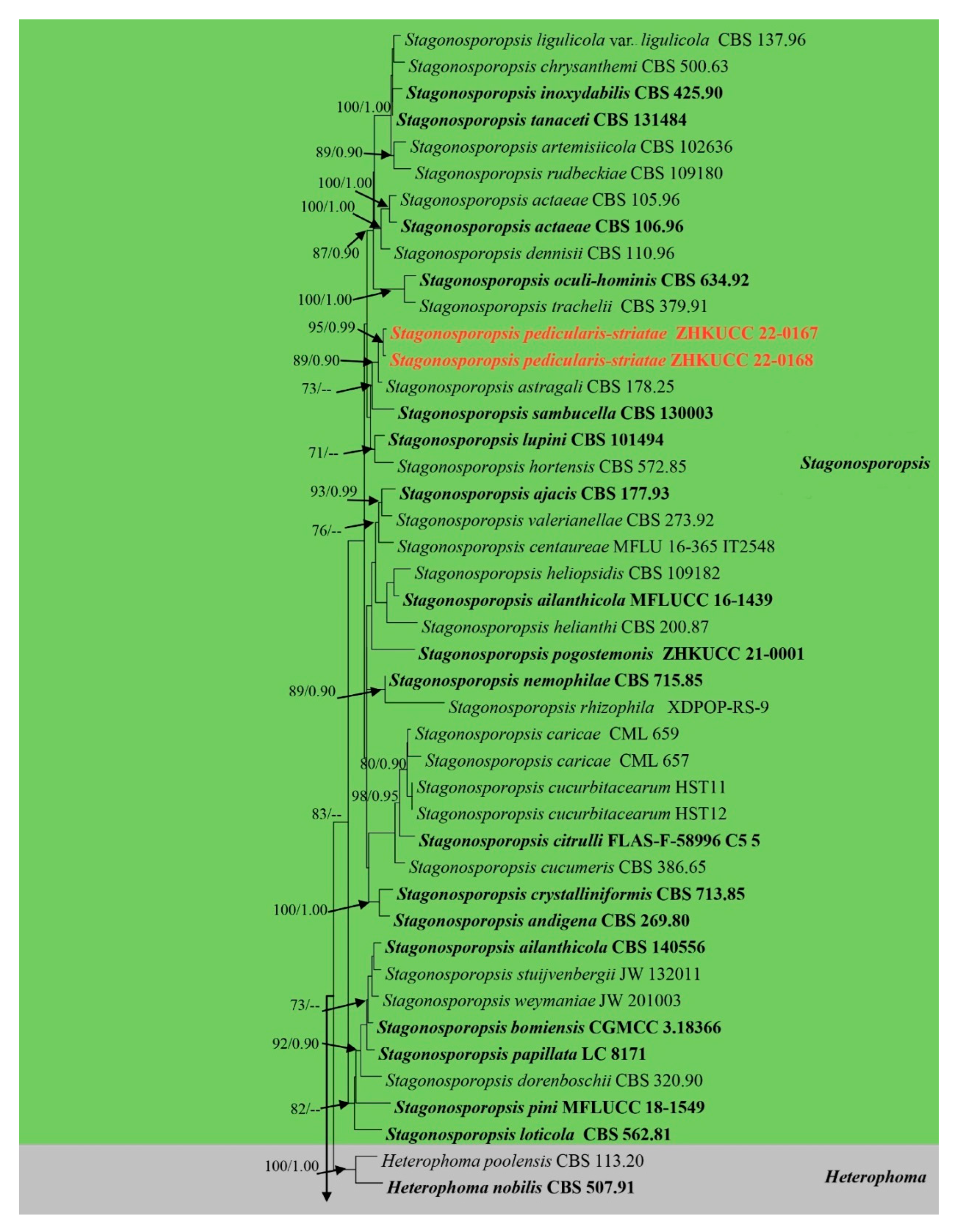Jof 09 00182 g002a Jof 09 00182 g002a