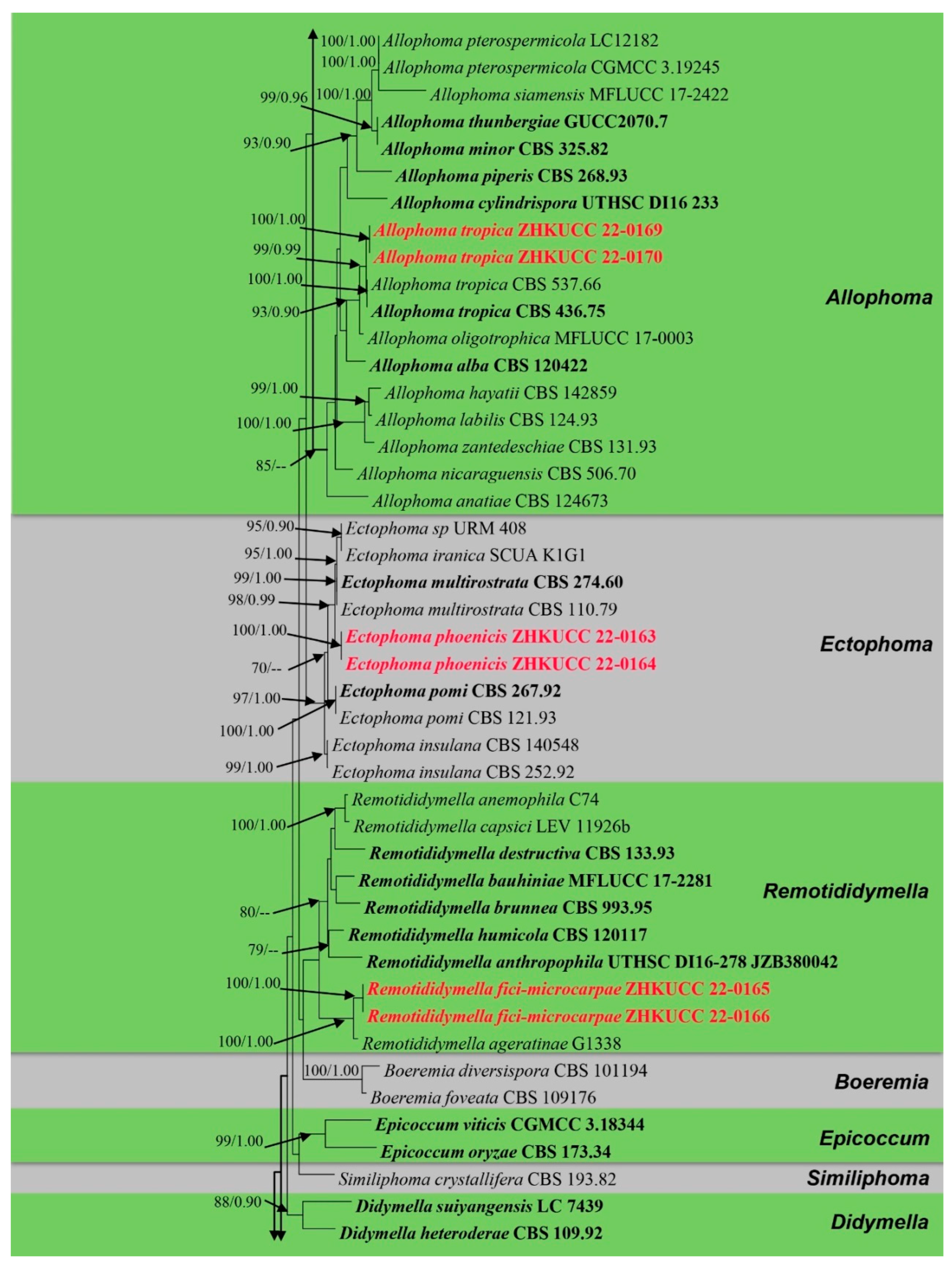 Jof 09 00182 g002b Jof 09 00182 g002b