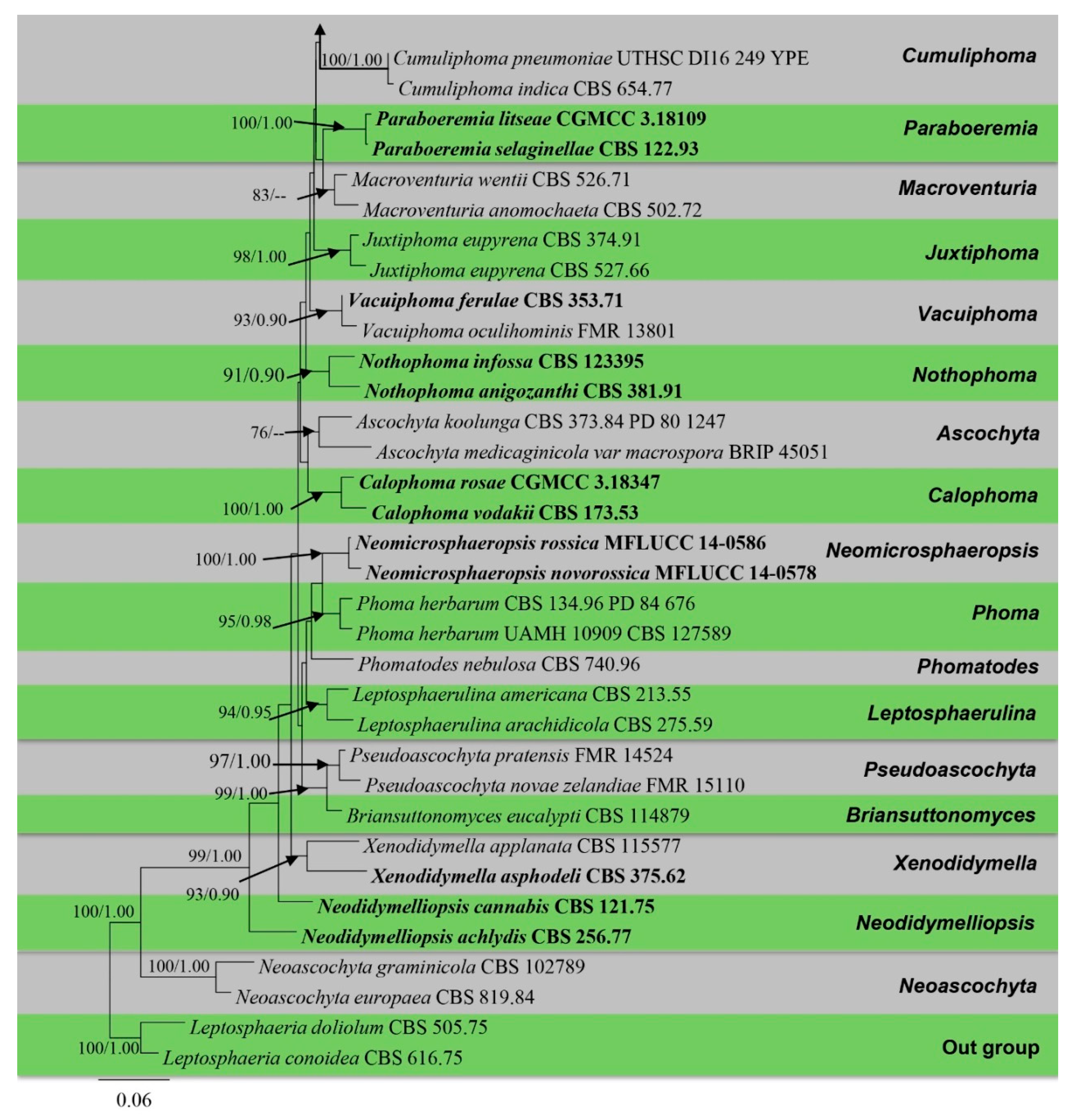 Jof 09 00182 g002c Jof 09 00182 g002c