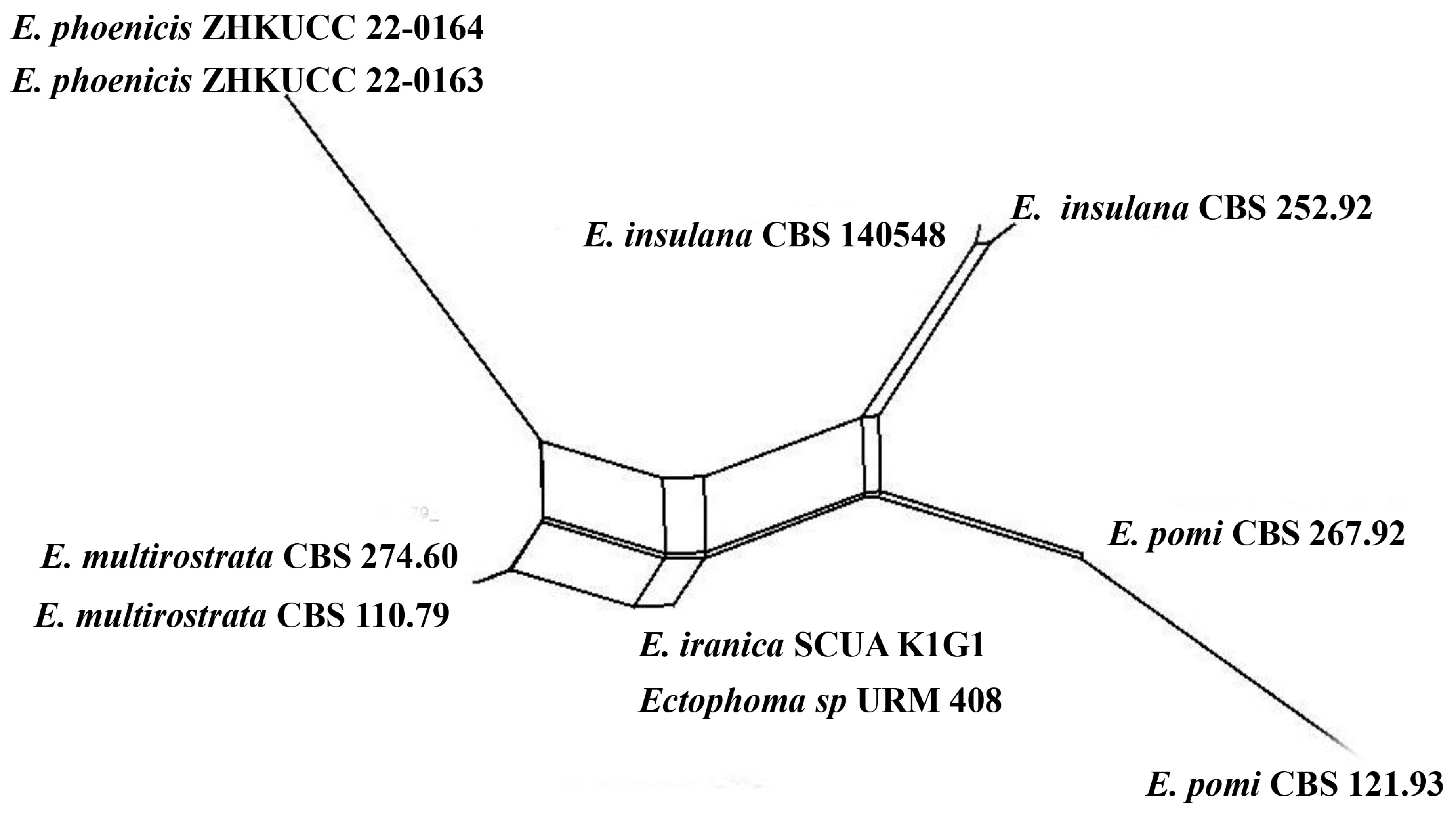 Jof 09 00182 g005 Jof 09 00182 g005