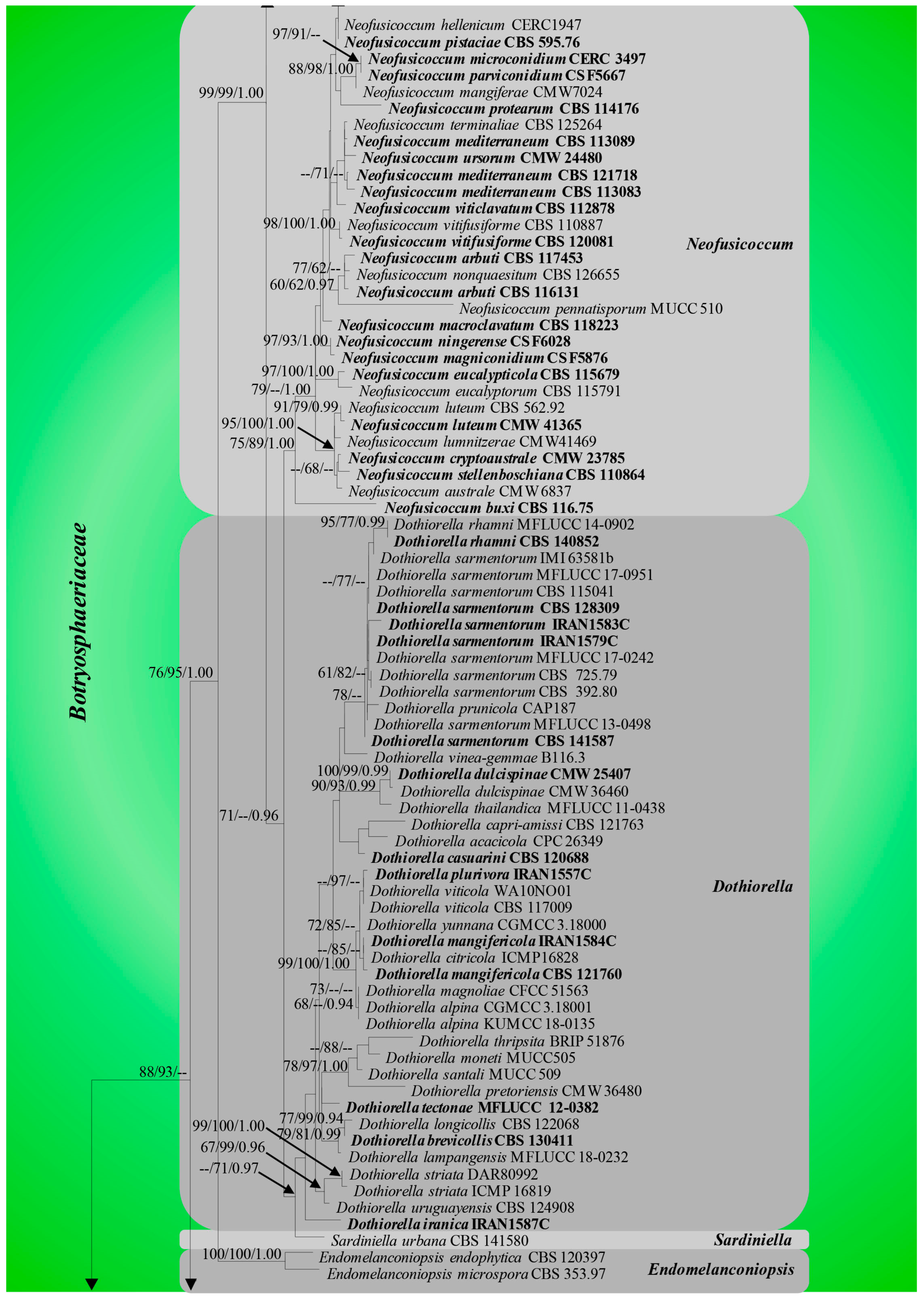 Jof 09 00184 g003c Jof 09 00184 g003c