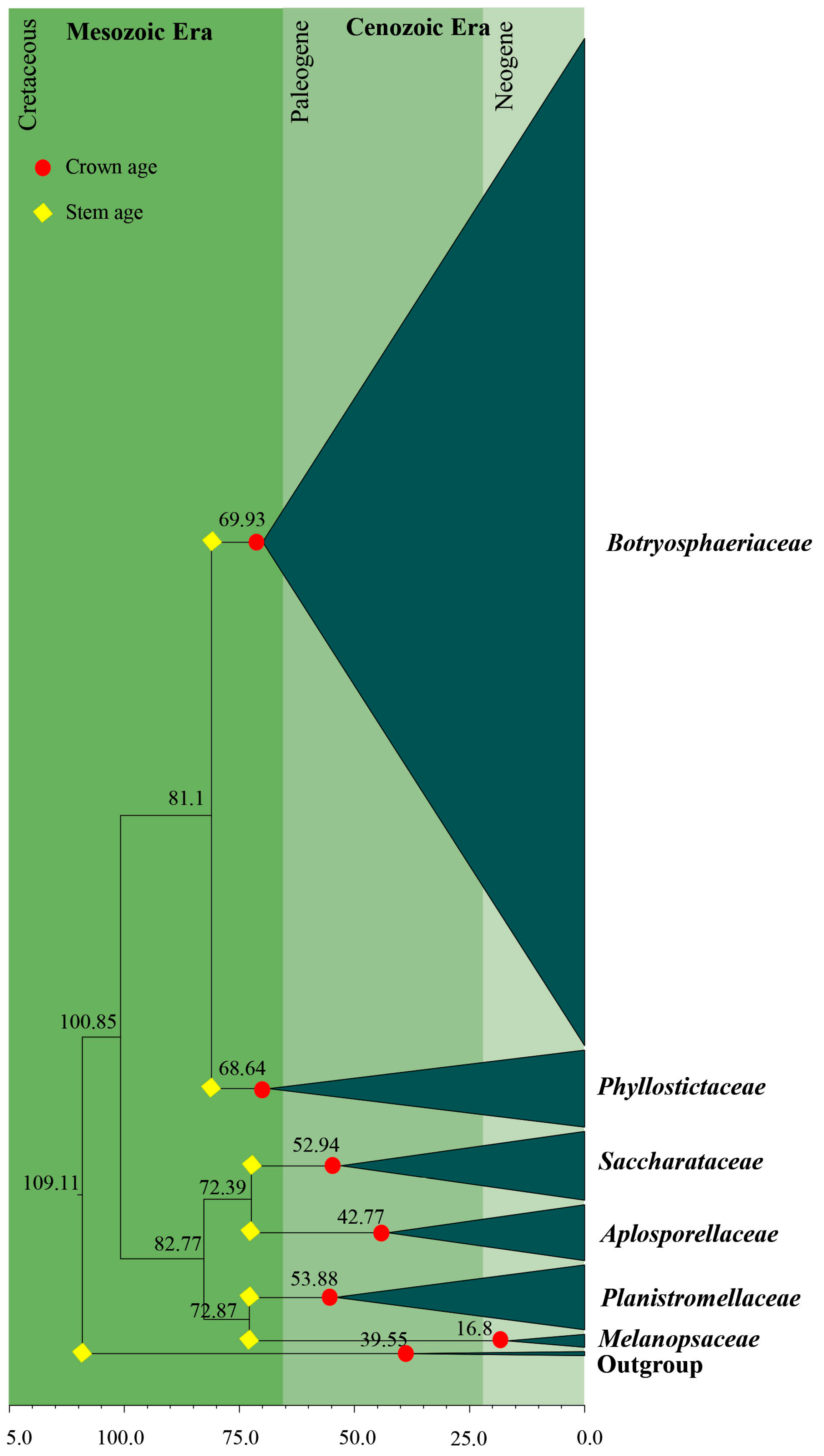 Jof 09 00184 g005 Jof 09 00184 g005