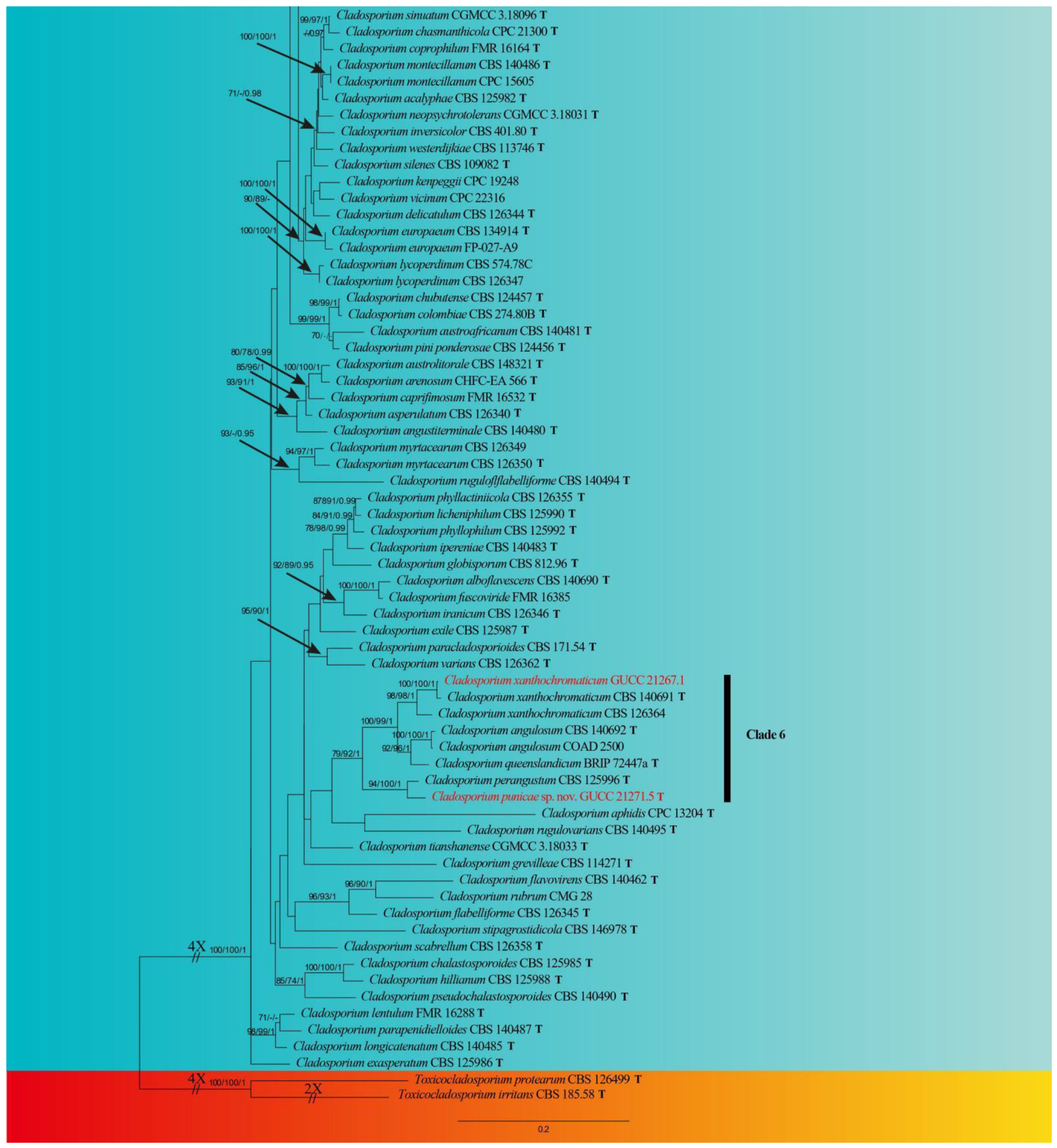 Jof 09 00250 g001b Jof 09 00250 g001b