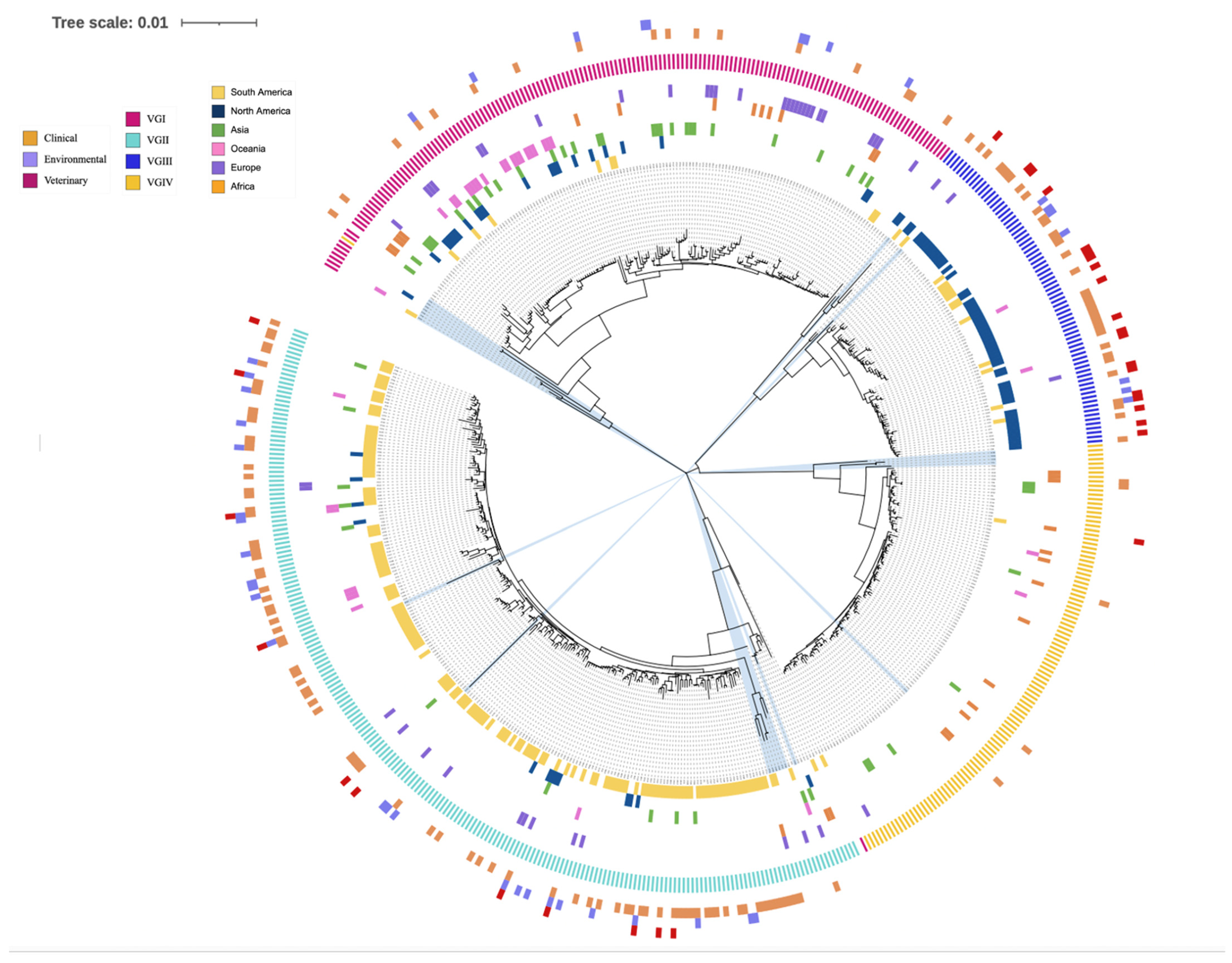 JoF | Free Full-Text | Global Analyses of Multi-Locus Sequence Typing Data  Reveal Geographic Differentiation, Hybridization, and Recombination in the  Cryptococcus&nbsp;gattii Species Complex
