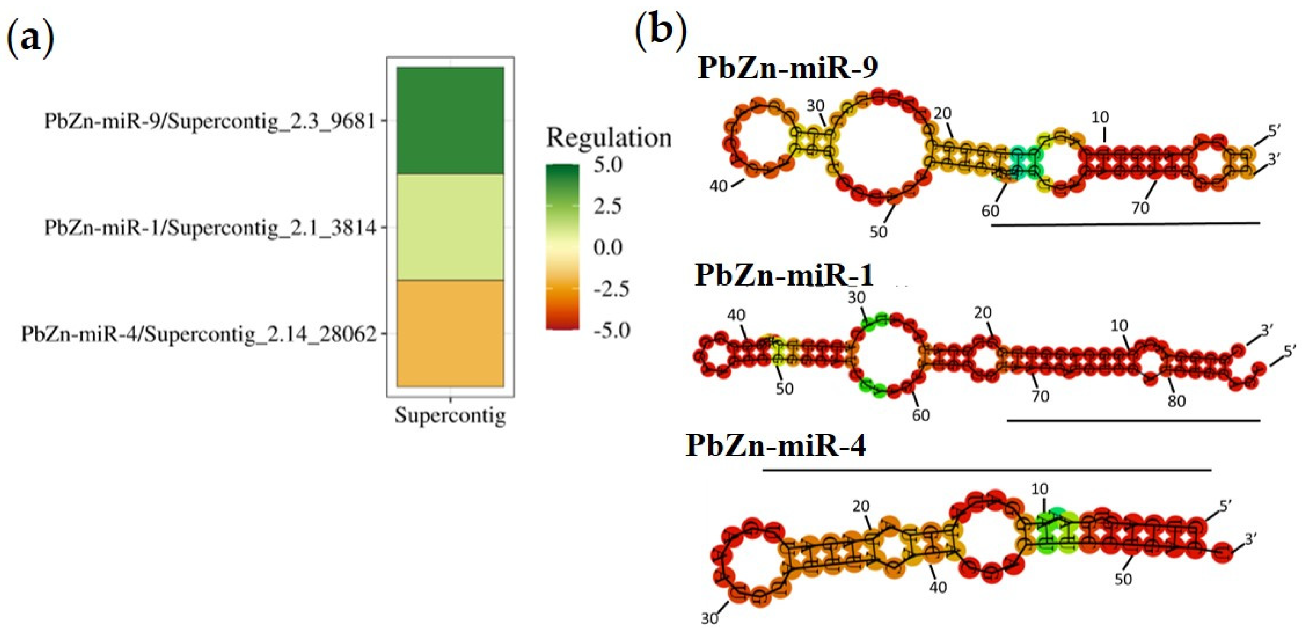 Jof 09 00281 g001 Jof 09 00281 g001