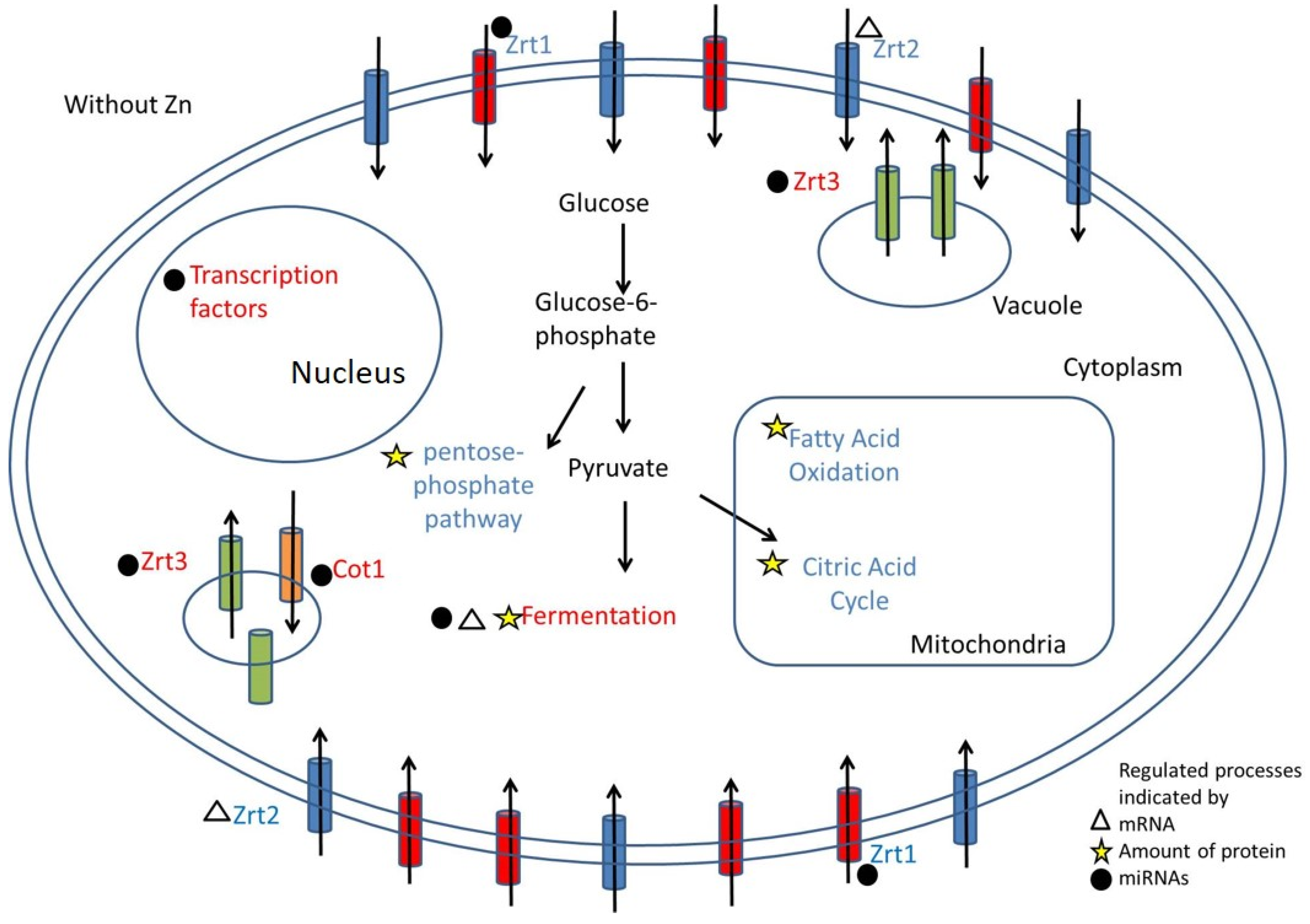 Jof 09 00281 g002 Jof 09 00281 g002