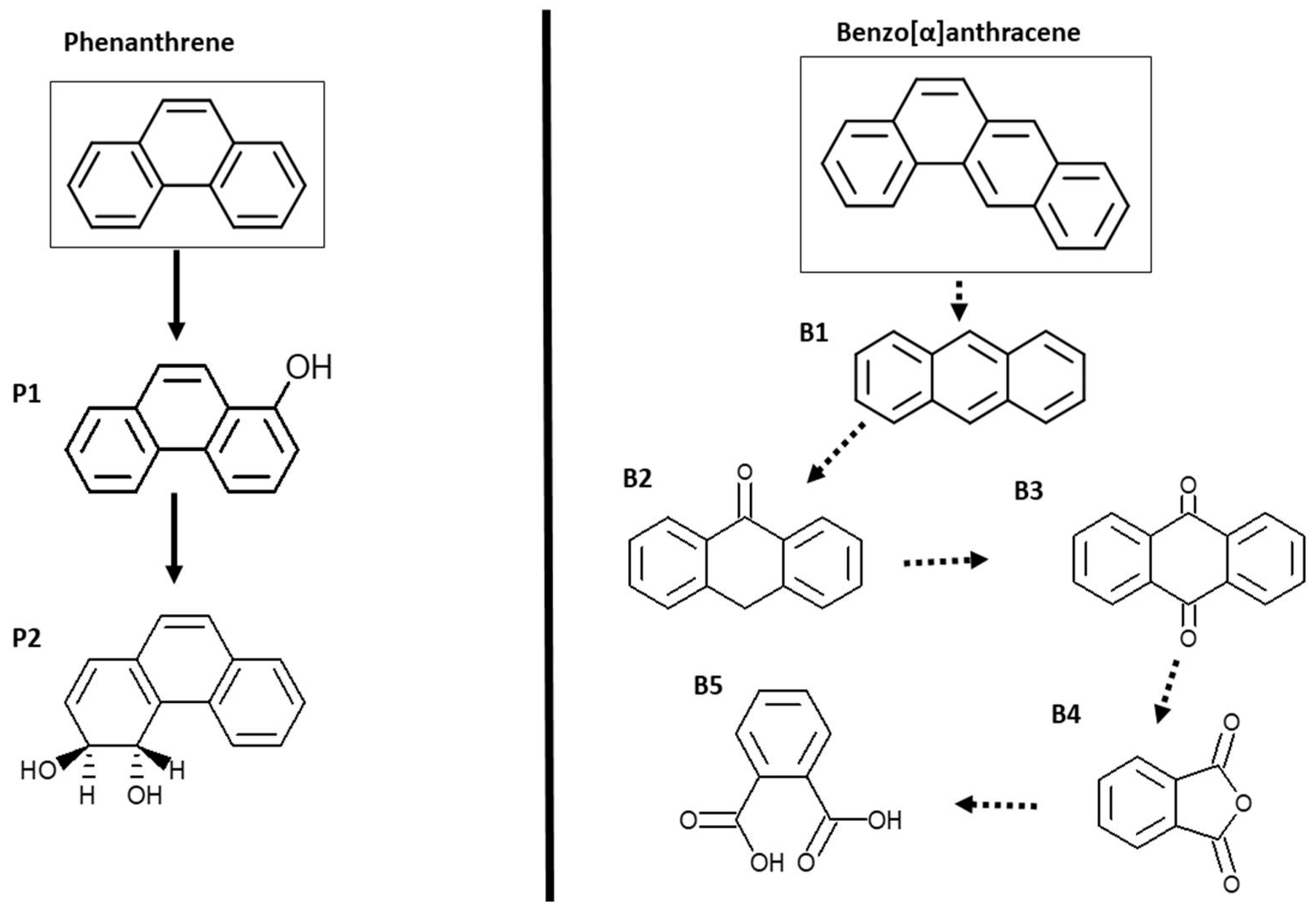 JoF | Free Full-Text | Simultaneous Heavy Metal-Polycyclic Aromatic ...