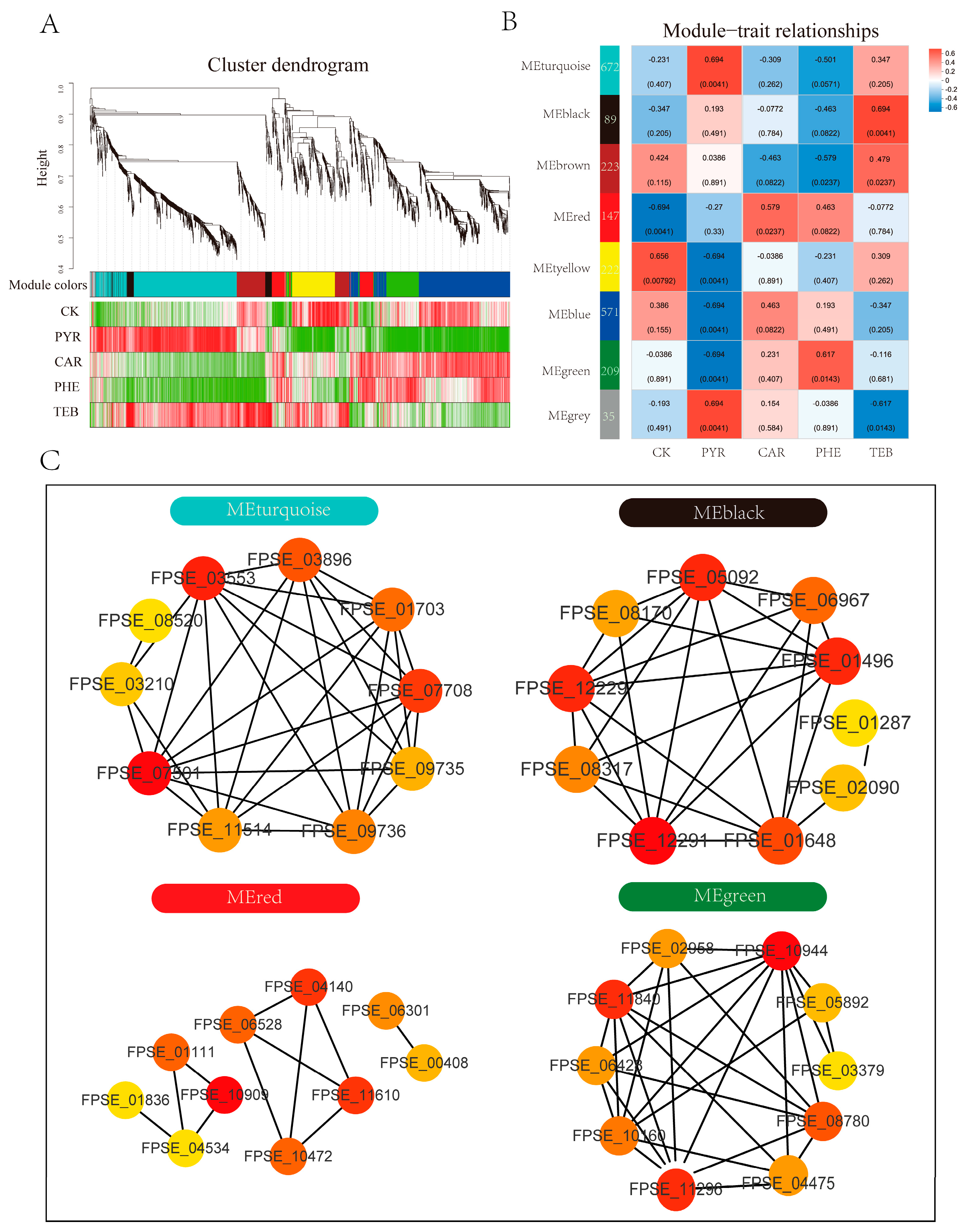 Jof 09 00334 g006 Jof 09 00334 g006