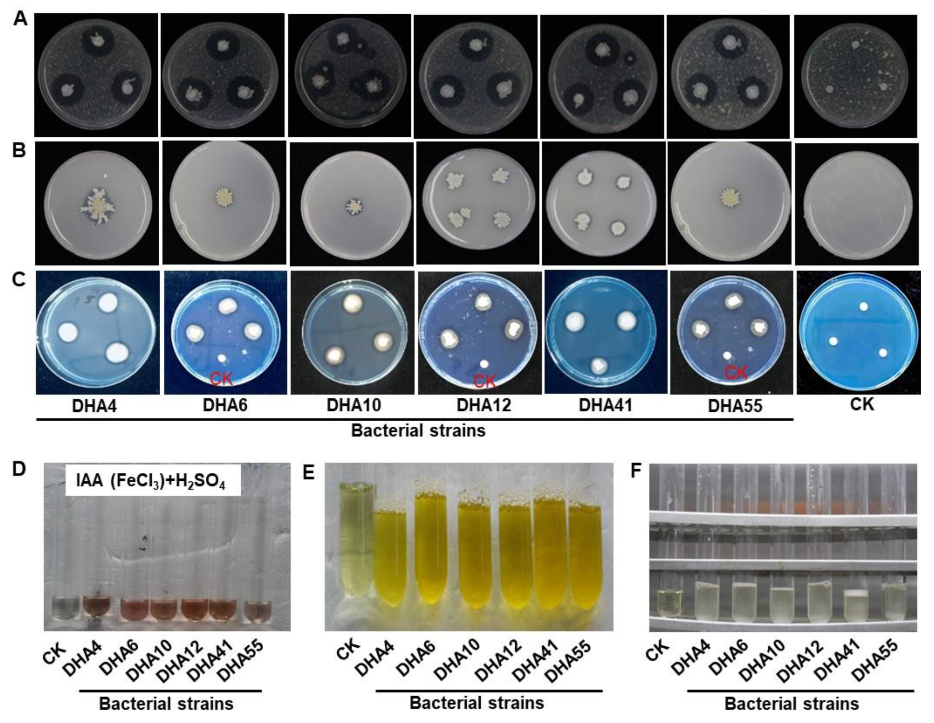 Jof 09 00336 g003 Jof 09 00336 g003