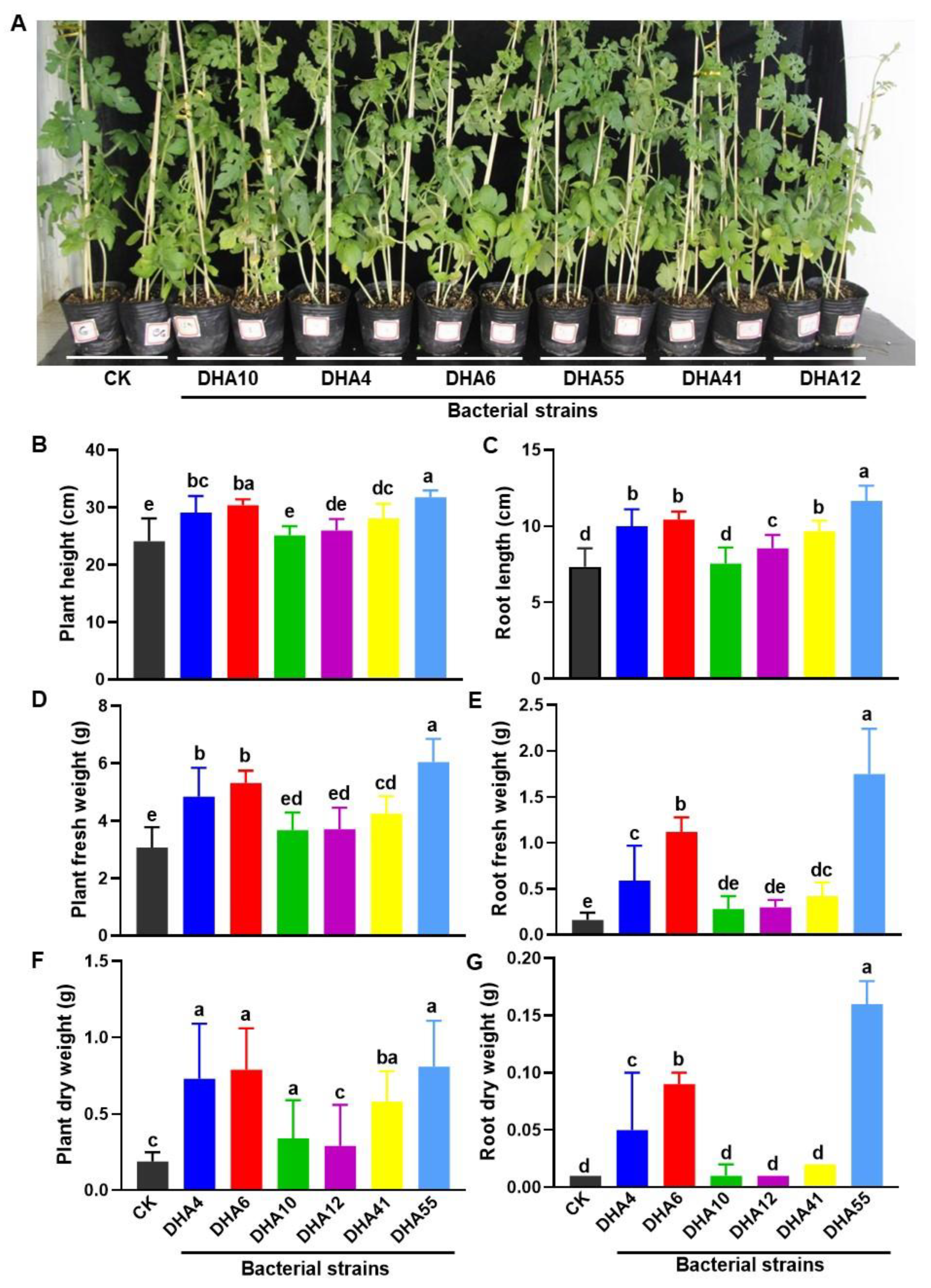 Jof 09 00336 g004 Jof 09 00336 g004