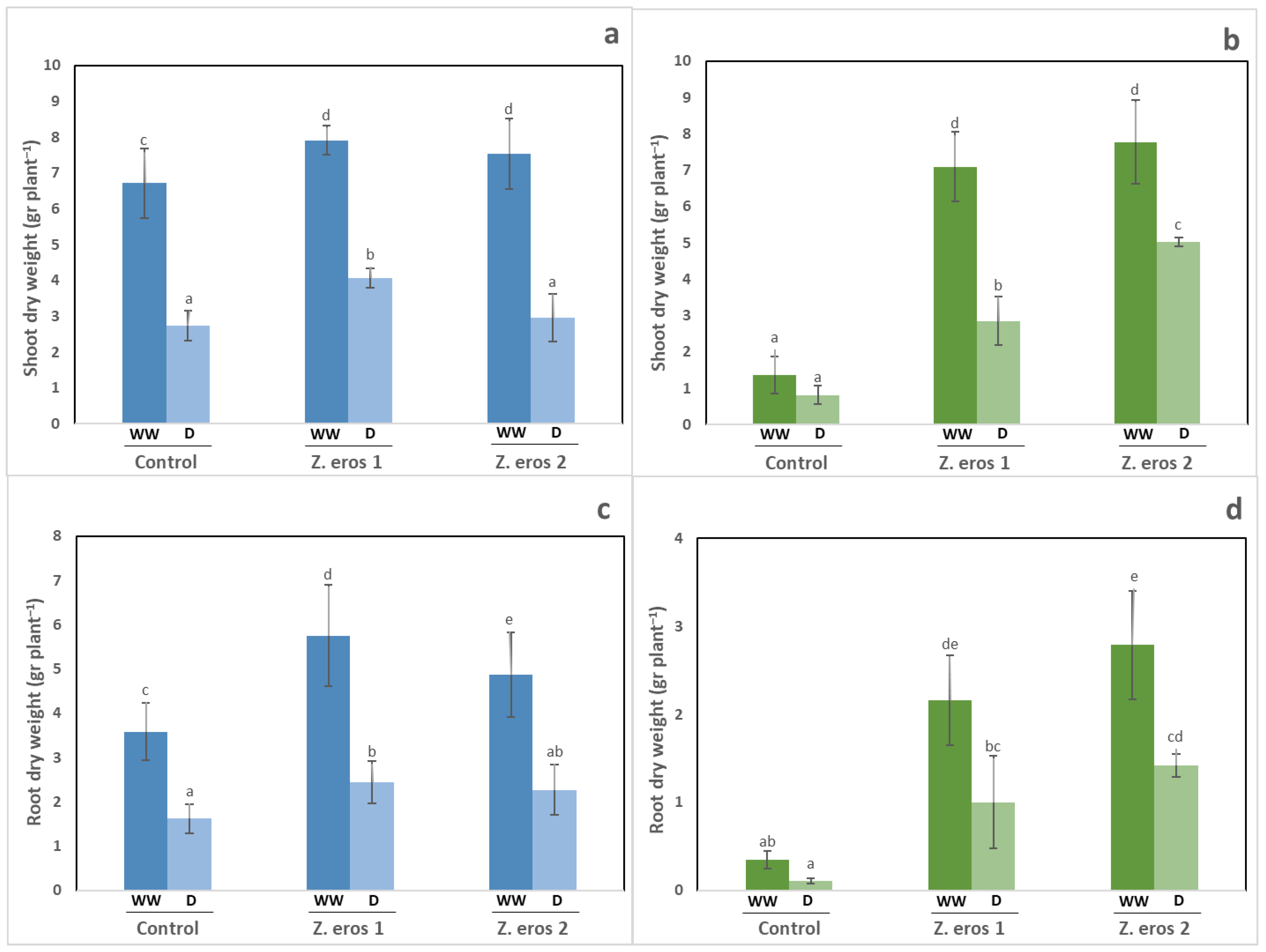 JoF | Free Full-Text | Fungal Endophytes Enhance Wheat and Tomato ...