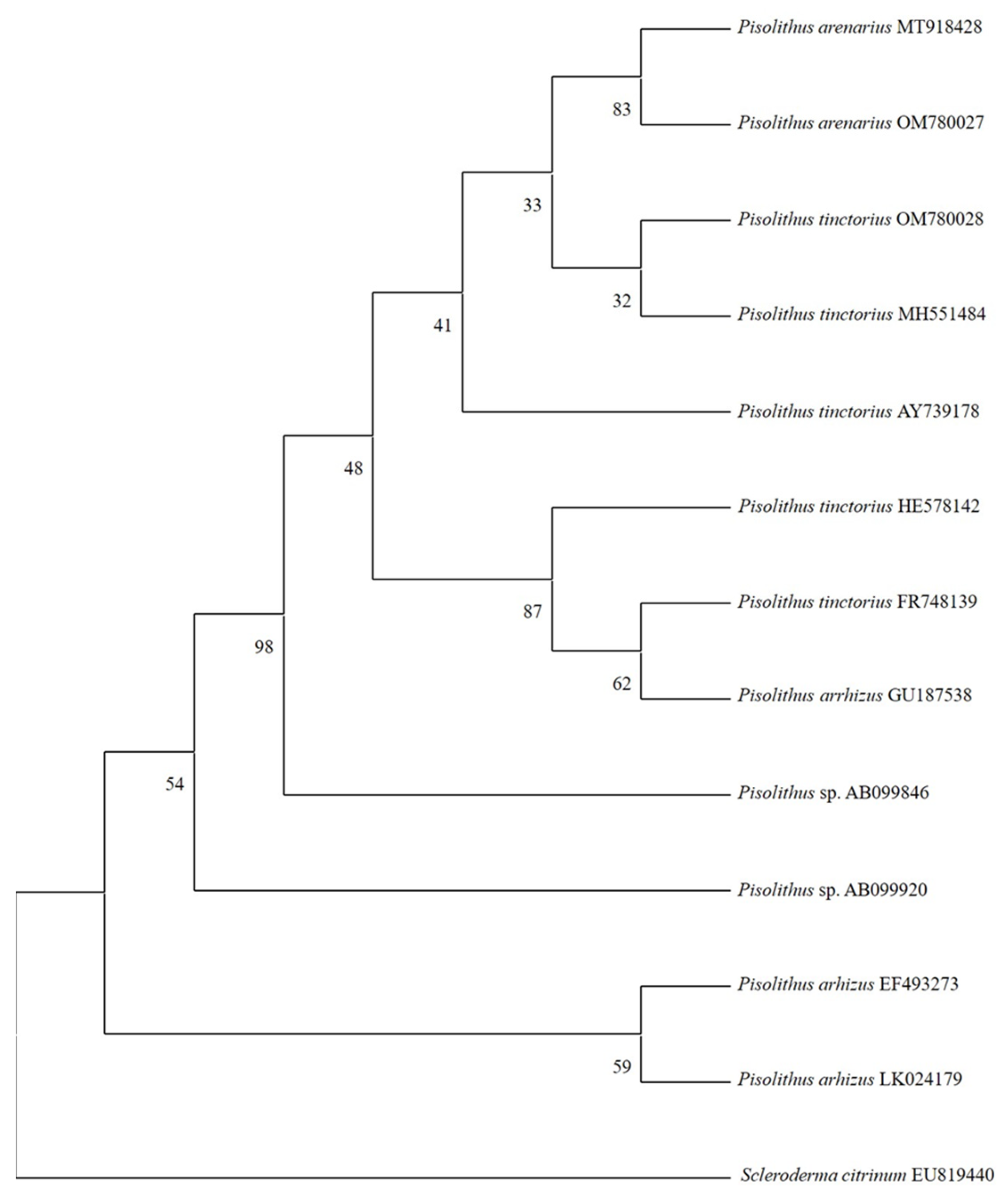 Jof 09 00440 g007 Jof 09 00440 g007