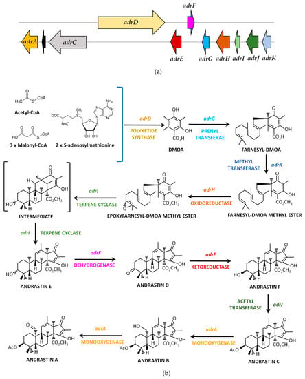 Jof Free Full Text Secondary Metabolites Produced By The Blue Cheese Ripening Mold